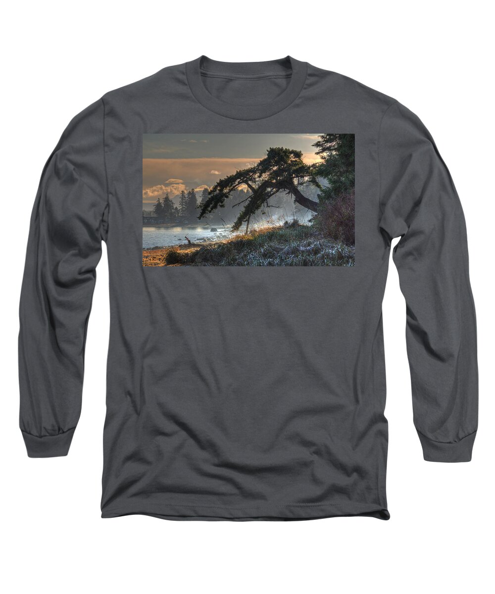 Tree Long Sleeve T-Shirt featuring the photograph Buccaneer Beach by Randy Hall