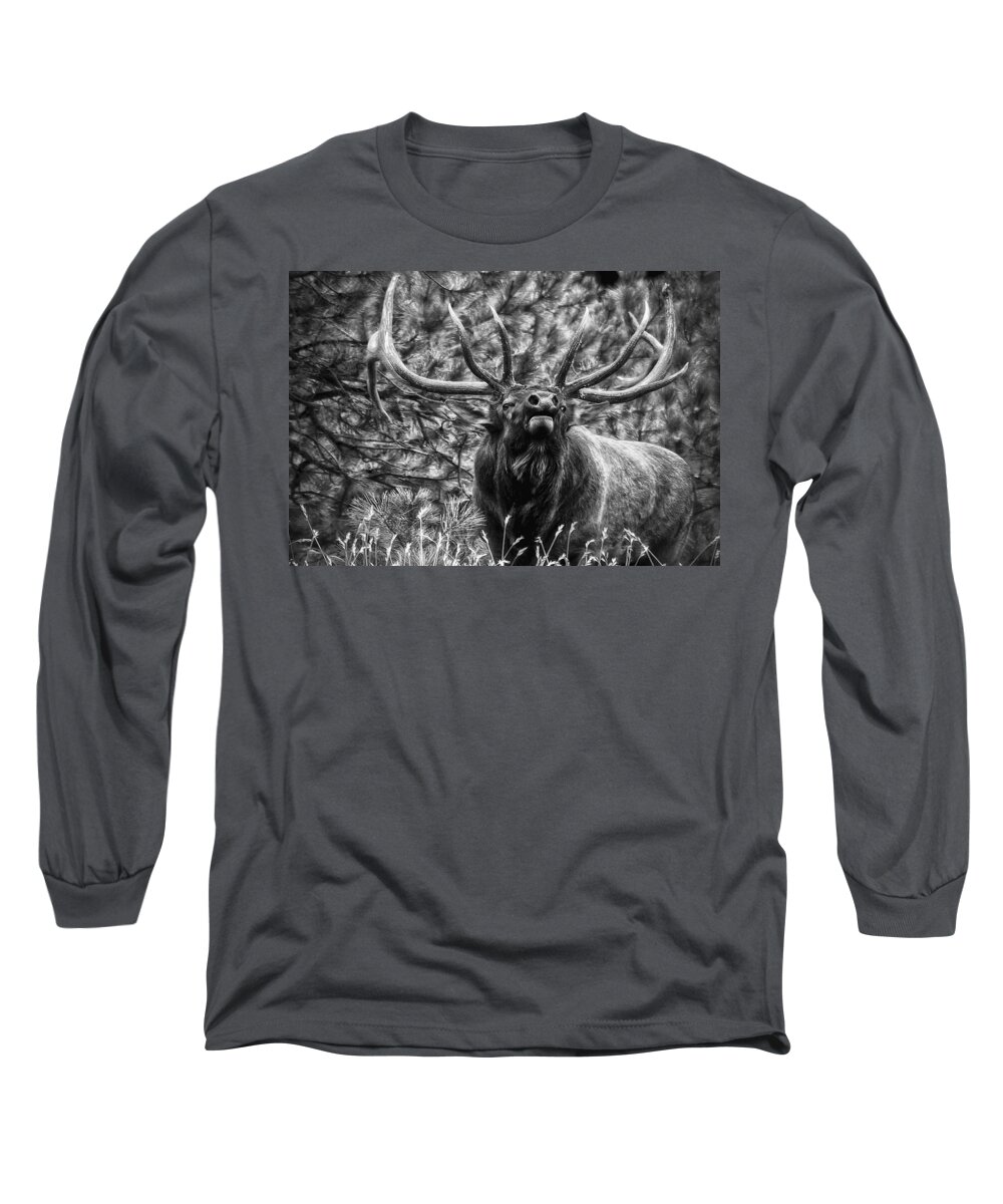 Elk Long Sleeve T-Shirt featuring the photograph Bull Elk Bugling Black and White by Ron White
