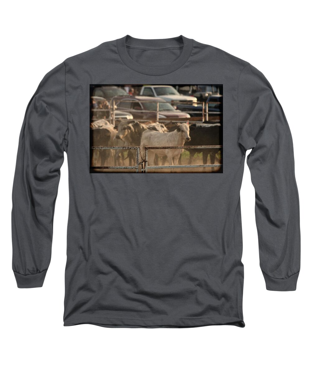 Rodeo Long Sleeve T-Shirt featuring the photograph Bulls by Denise Romano