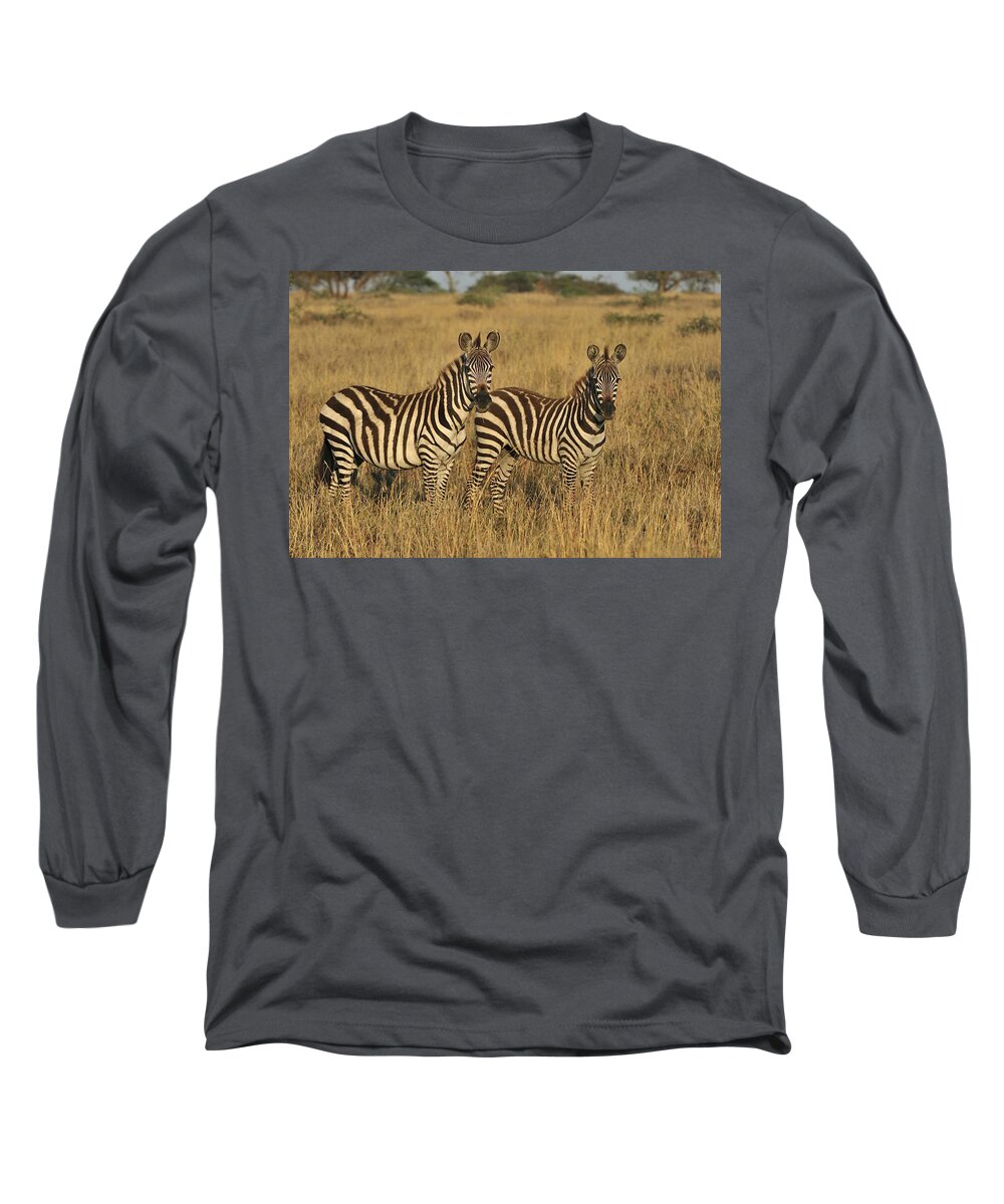 Thomas Marent Long Sleeve T-Shirt featuring the photograph Burchells Zebraon Savanna Serengeti by Thomas Marent