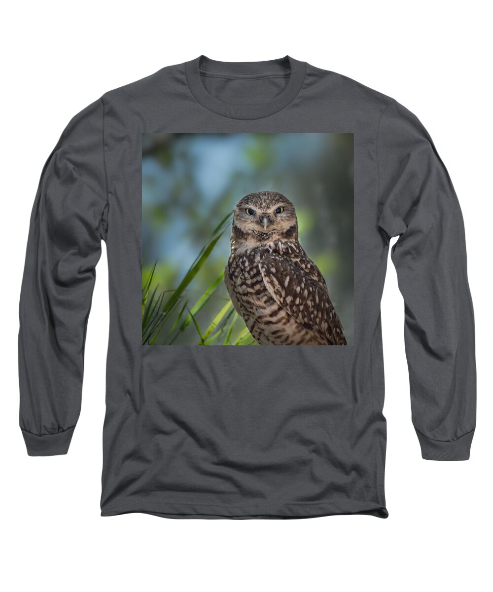 Owl Long Sleeve T-Shirt featuring the photograph Burrowing Owl by Linda Villers