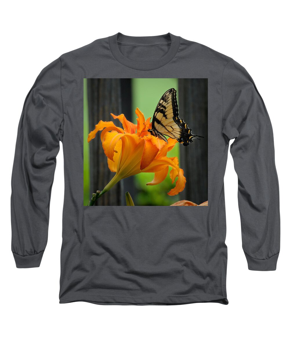 Butterfly Long Sleeve T-Shirt featuring the photograph Butterfly by David Hart