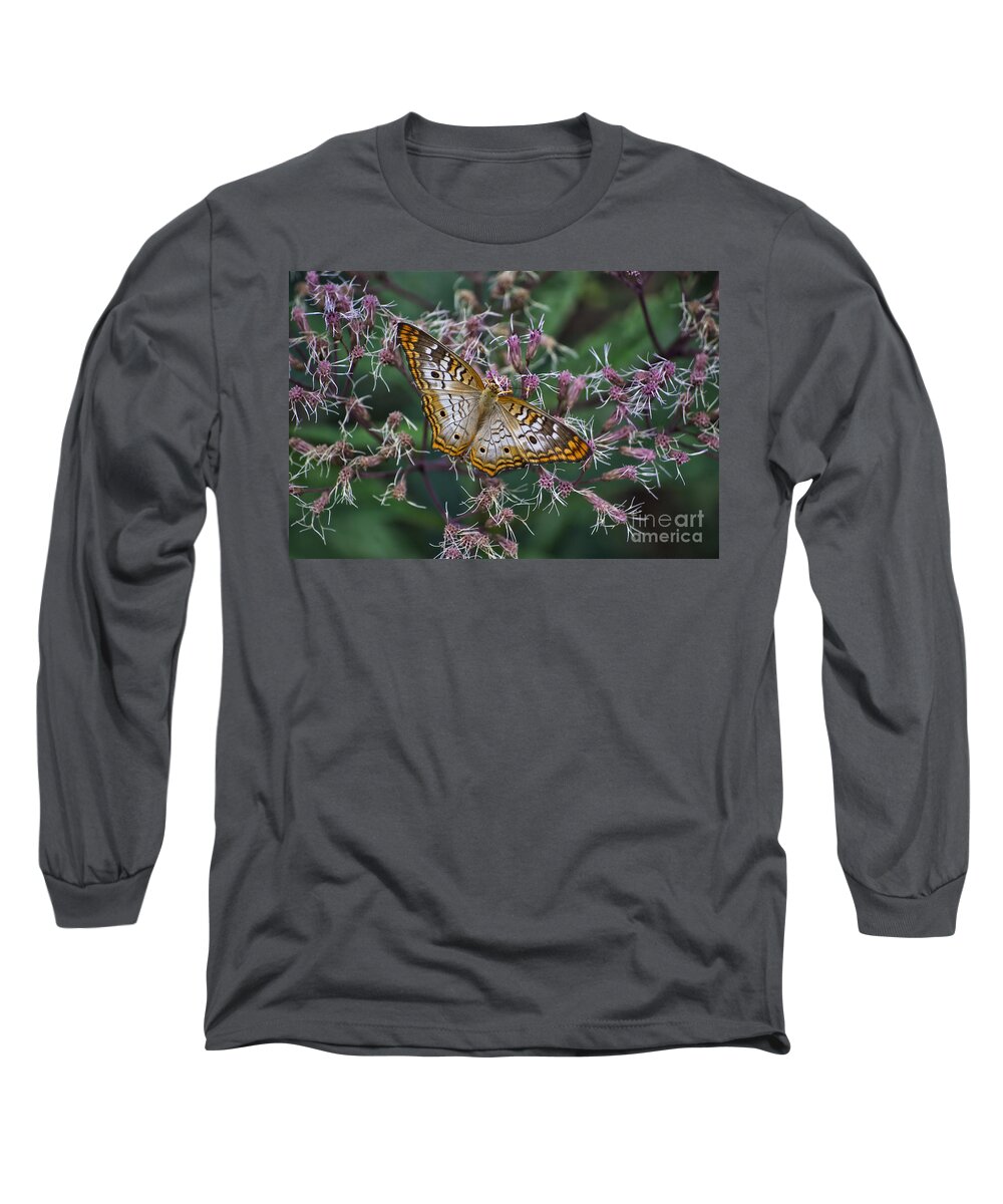 Il Long Sleeve T-Shirt featuring the photograph Butterfly Soft Landing by Thomas Woolworth