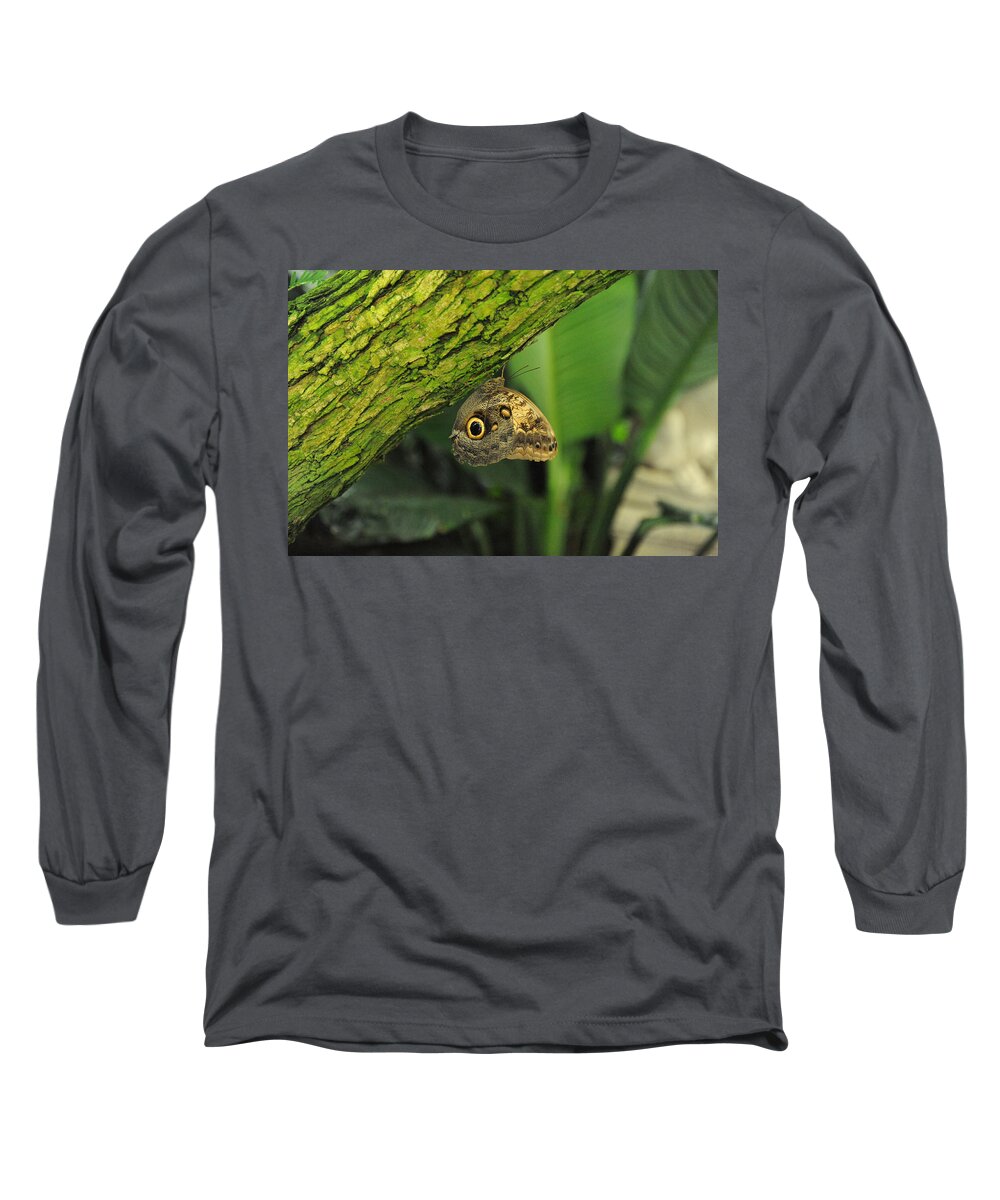 Wildlife Long Sleeve T-Shirt featuring the photograph Camouflage by Richard Gehlbach