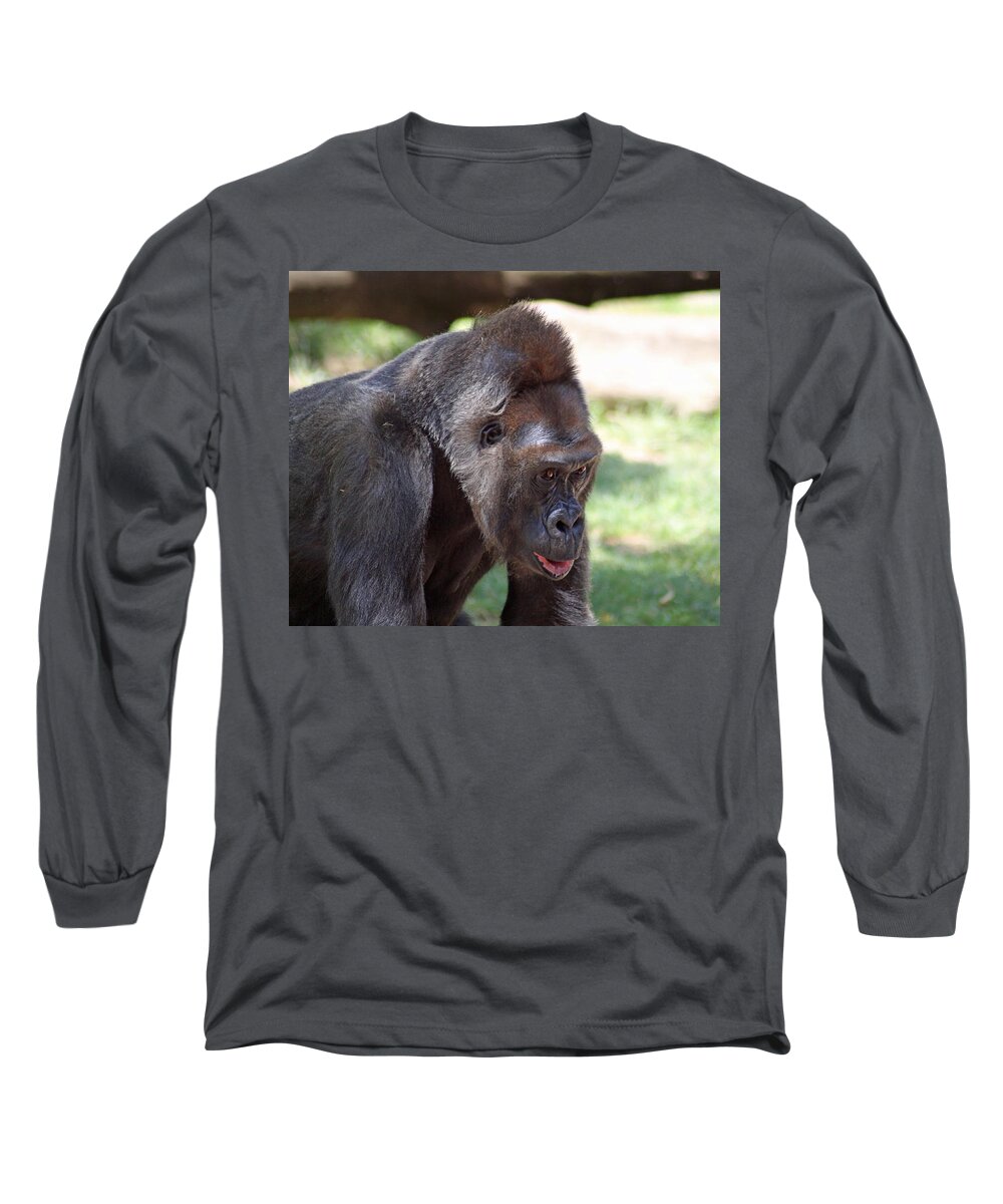 Gorilla Long Sleeve T-Shirt featuring the photograph Captive Look by Shoal Hollingsworth
