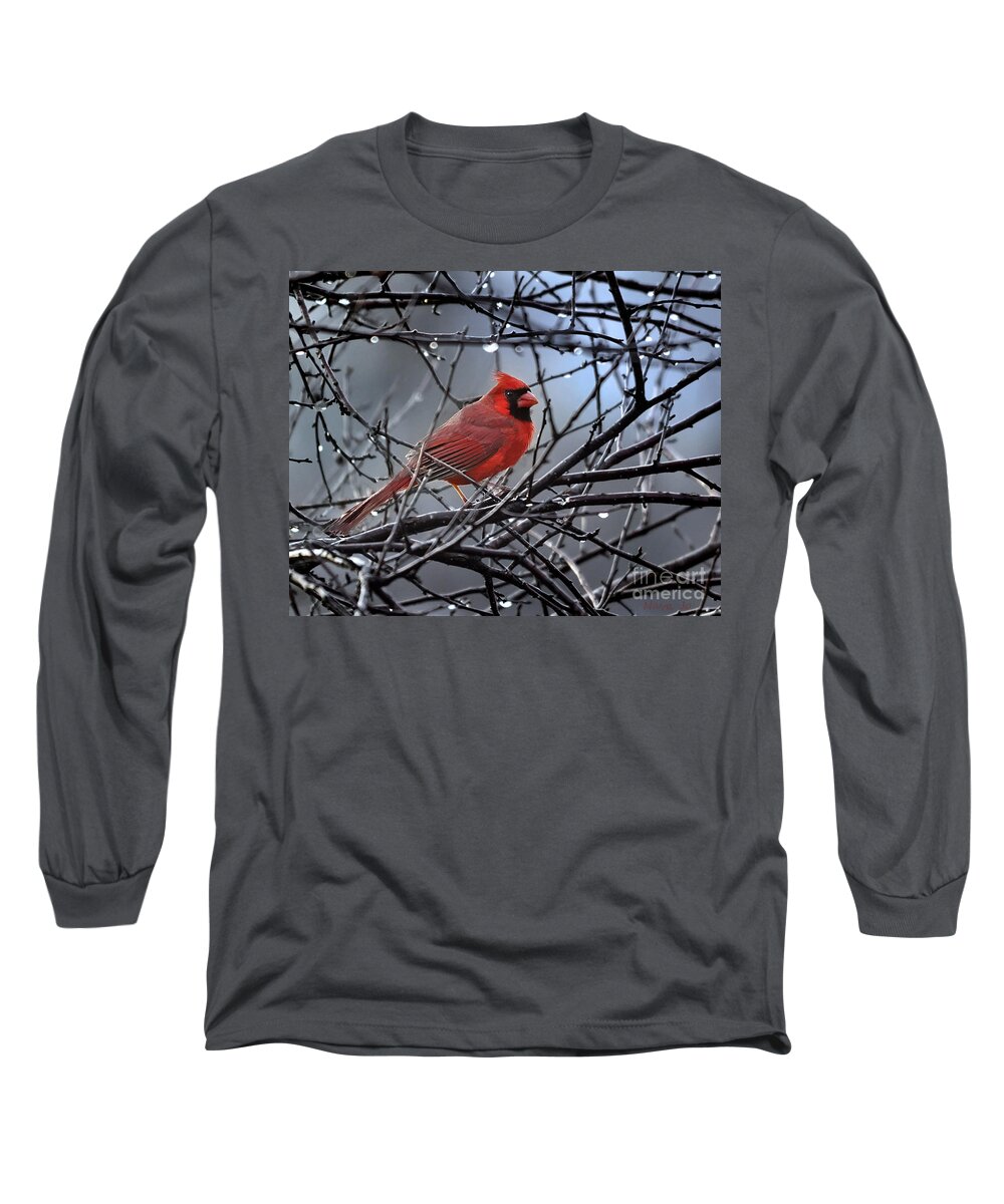 Nature Long Sleeve T-Shirt featuring the photograph Cardinal in the Rain  by Nava Thompson