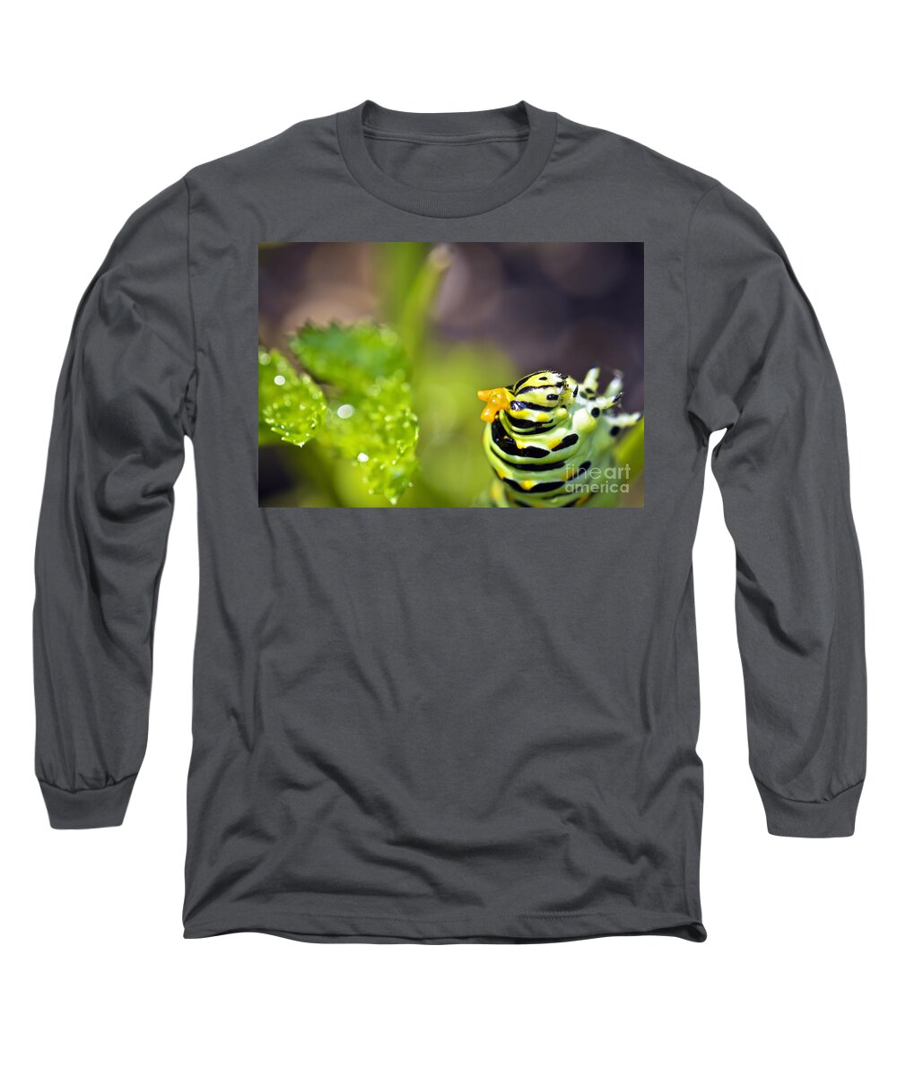 Caterpillar Long Sleeve T-Shirt featuring the photograph Catterpillar at work by PatriZio M Busnel
