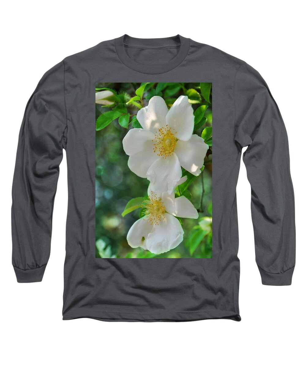 Floral Long Sleeve T-Shirt featuring the photograph Cherokee Roses by Jan Amiss Photography