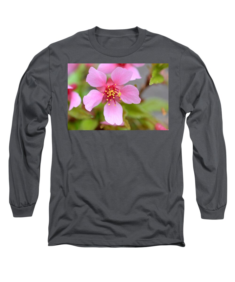 Cherry Blossom Long Sleeve T-Shirt featuring the photograph Cherry Blossom by Lisa Phillips