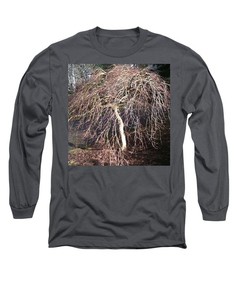 Trees Long Sleeve T-Shirt featuring the photograph Chinese Elm Winter Light #nofilter by Anna Porter