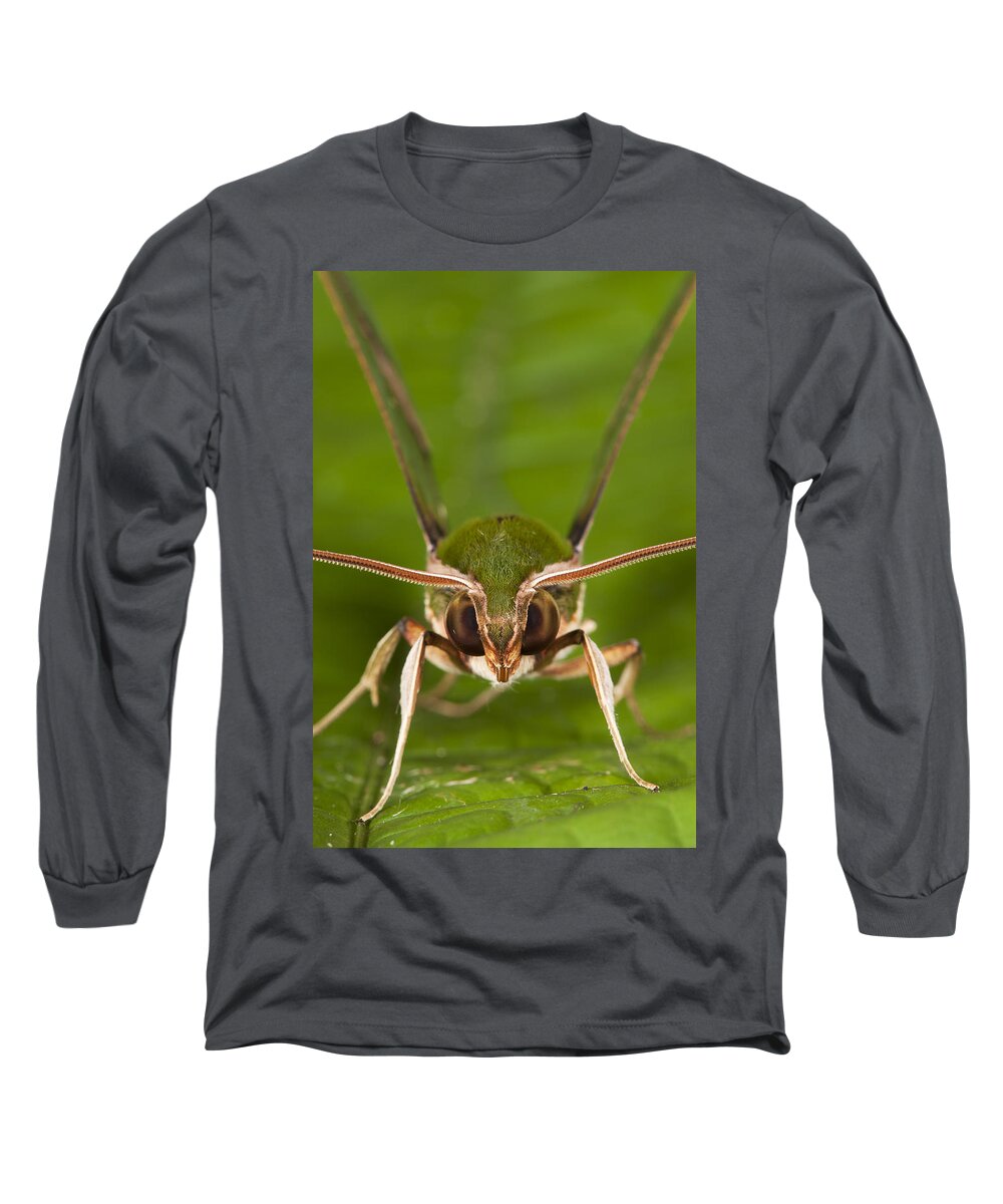 Feb0514 Long Sleeve T-Shirt featuring the photograph Chiron Sphinx Moth Yasuni Np Ecuador by Pete Oxford