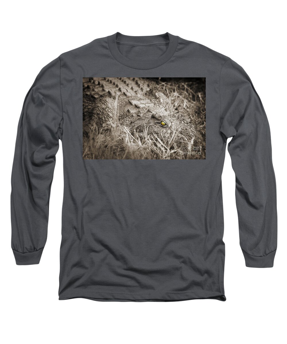 Crocodile Long Sleeve T-Shirt featuring the photograph Close scary crocodile, Zambia by Delphimages Photo Creations