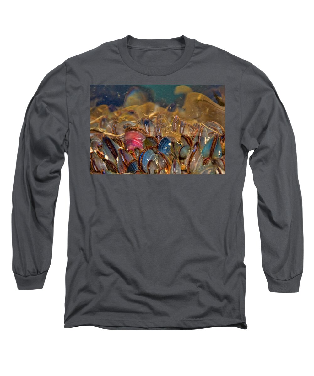 Mussels Long Sleeve T-Shirt featuring the photograph Colorful Mussel Shells by Peggy Collins