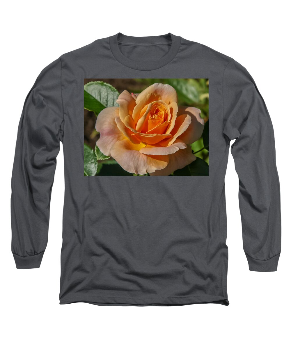 Flower Long Sleeve T-Shirt featuring the photograph Colorful rose by Jane Luxton