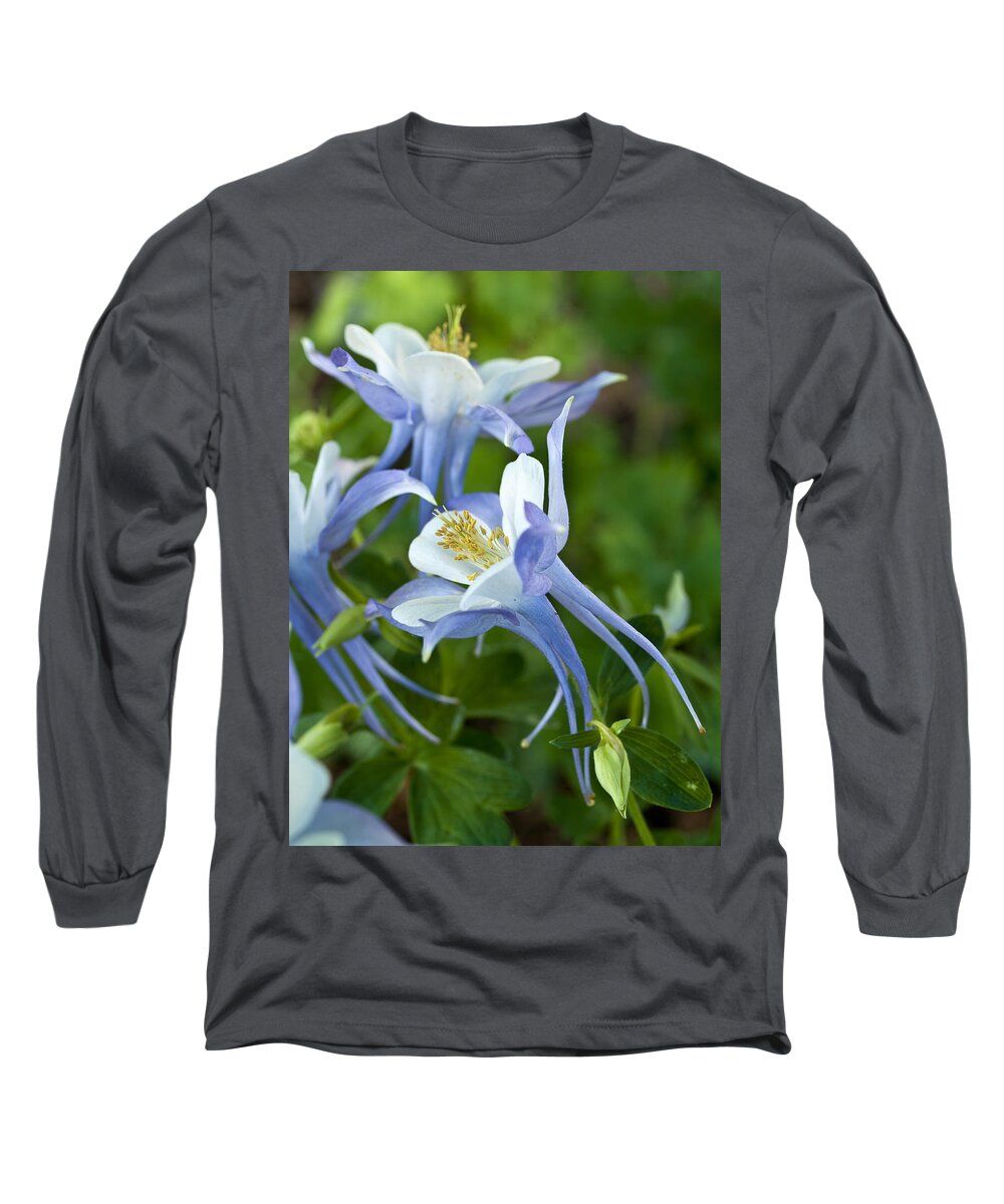 Origami Long Sleeve T-Shirt featuring the photograph Columbine-2 by Charles Hite