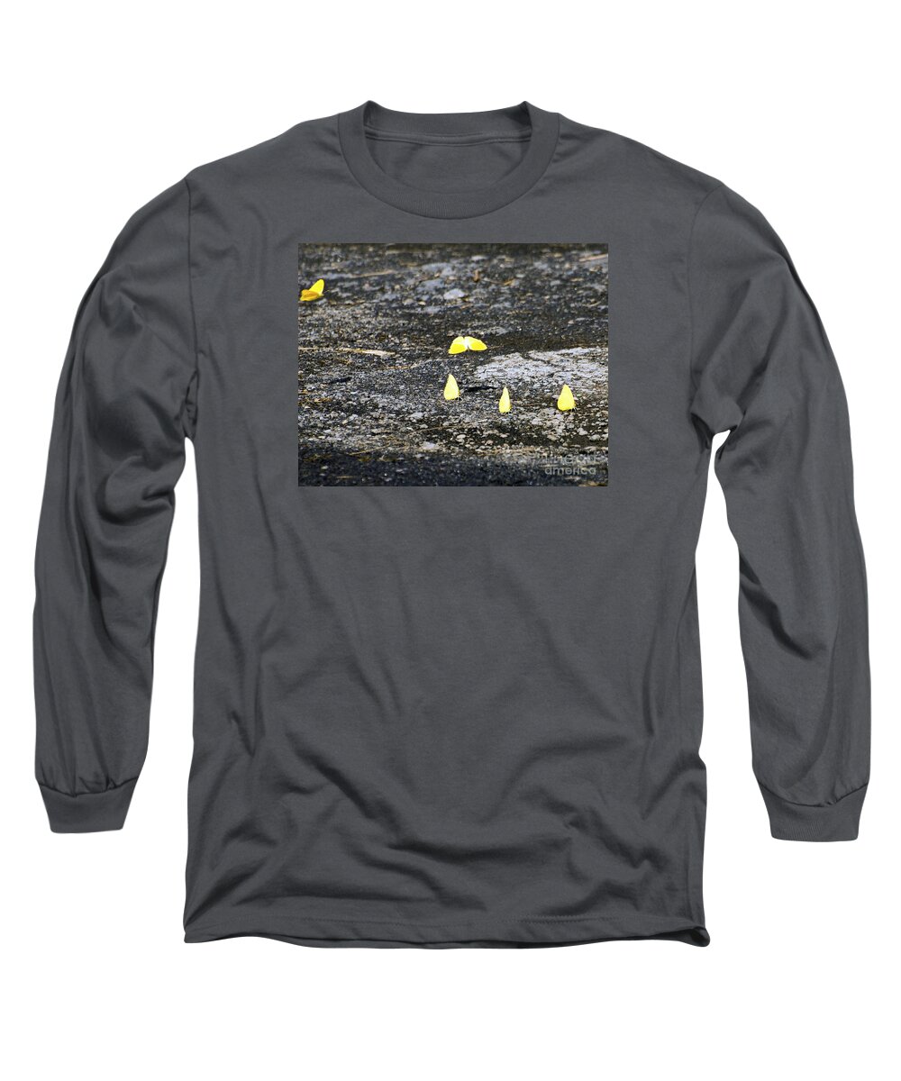 Fine Art Photography Long Sleeve T-Shirt featuring the photograph Coming In For a Landing by Patricia Griffin Brett