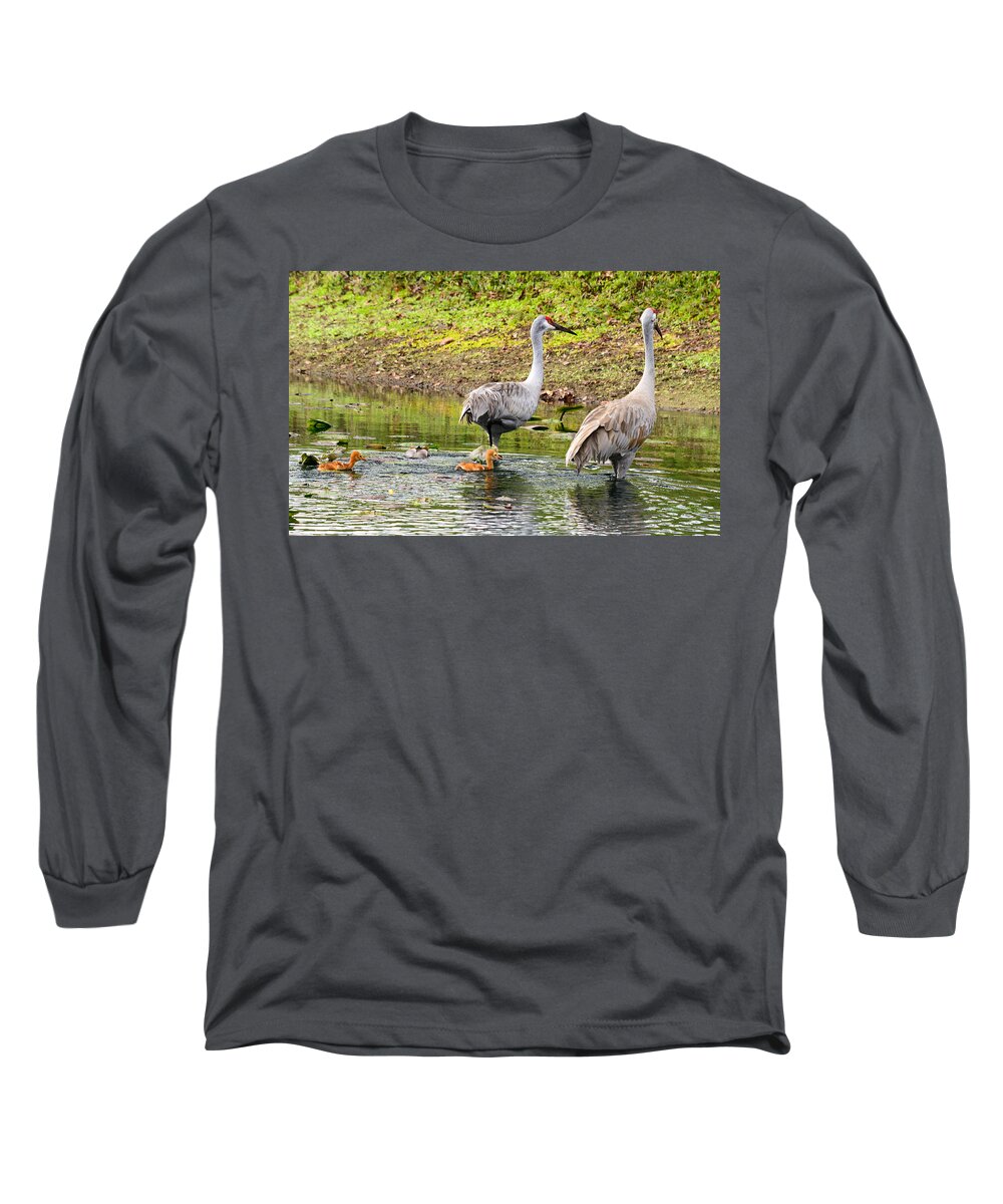 susan Molnar Long Sleeve T-Shirt featuring the photograph Crane Family Swim II by Susan Molnar