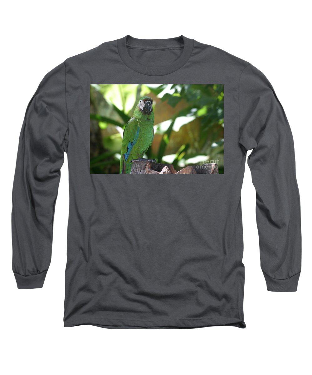 Curacao Long Sleeve T-Shirt featuring the photograph Curacao Parrot by Living Color Photography Lorraine Lynch