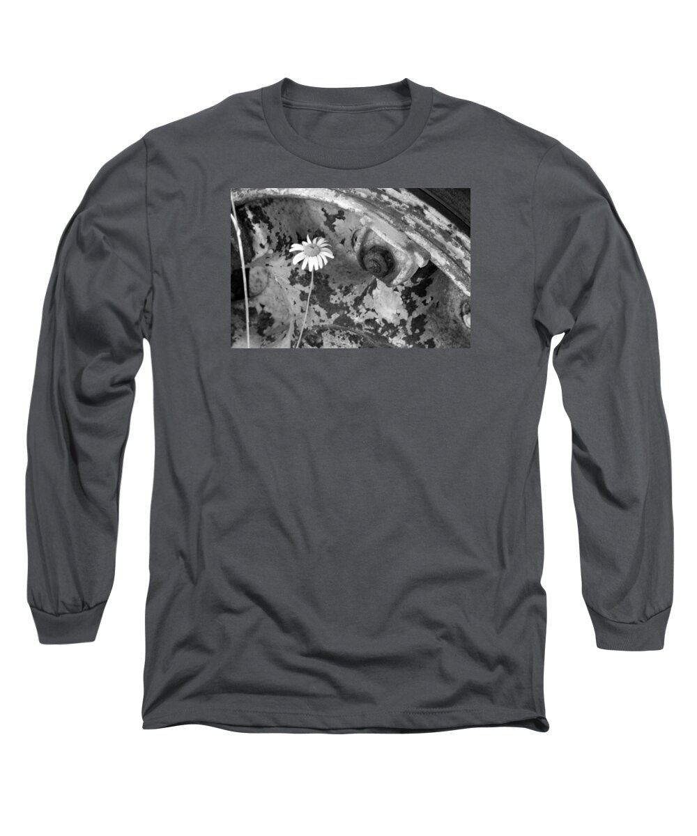 Flowers Long Sleeve T-Shirt featuring the photograph Daisy by John Schneider