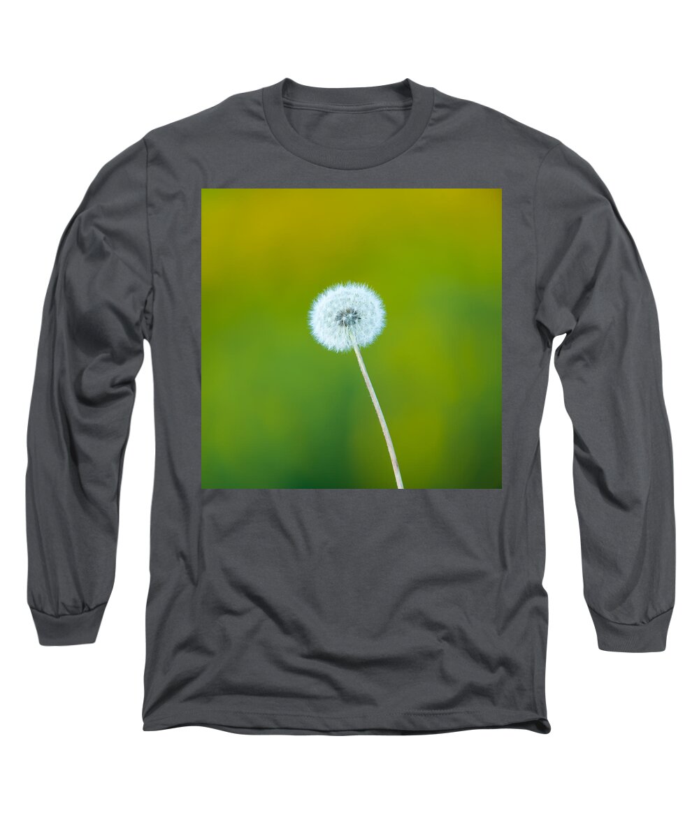 Fall Long Sleeve T-Shirt featuring the photograph Dandelion by Sebastian Musial