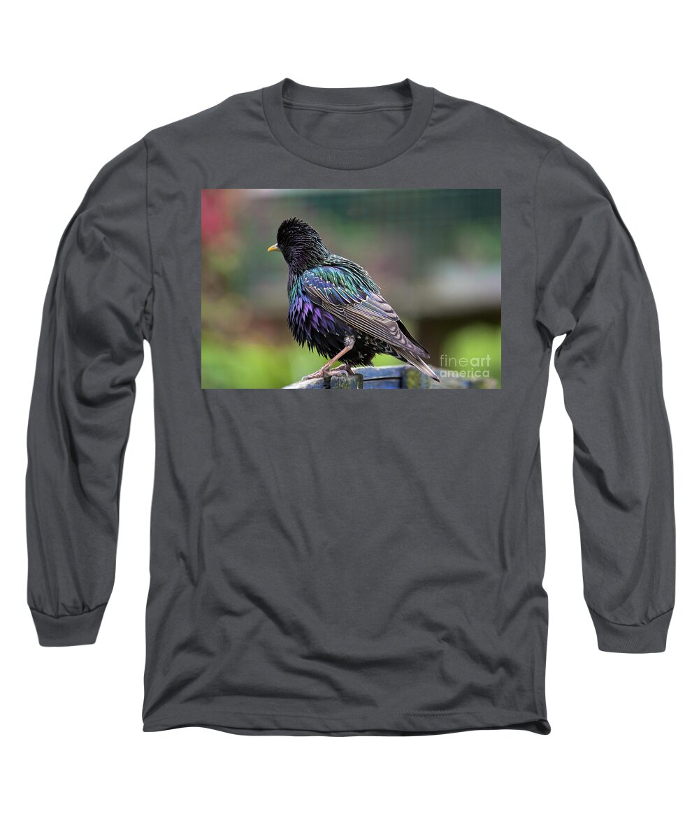 Starling Long Sleeve T-Shirt featuring the photograph Darling Starling by Terri Waters