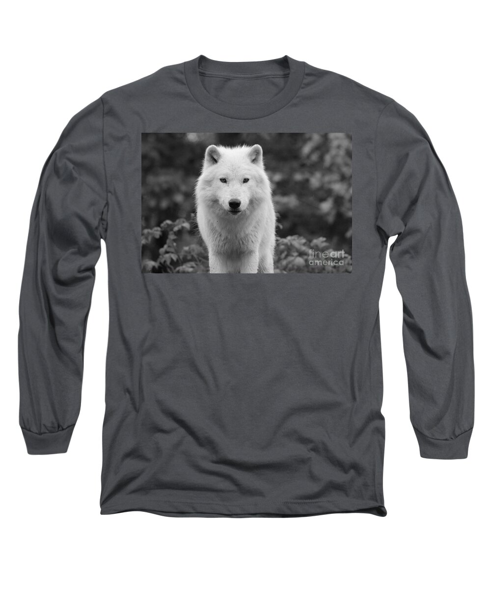 Deep Long Sleeve T-Shirt featuring the photograph Deep Connection by Vicki Spindler