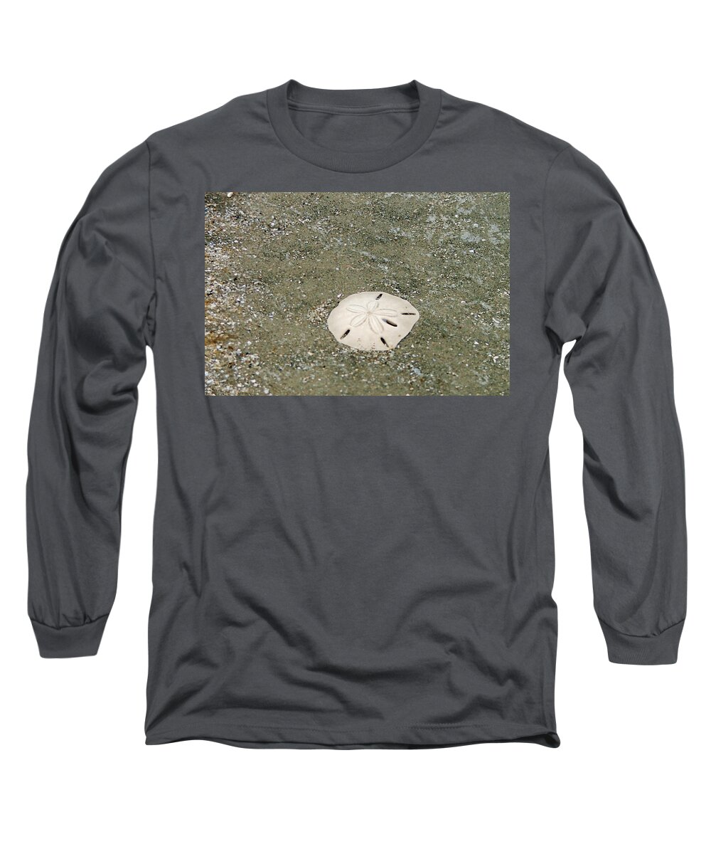 Sand Dollar Long Sleeve T-Shirt featuring the photograph Pick Me Up by Melinda Ledsome