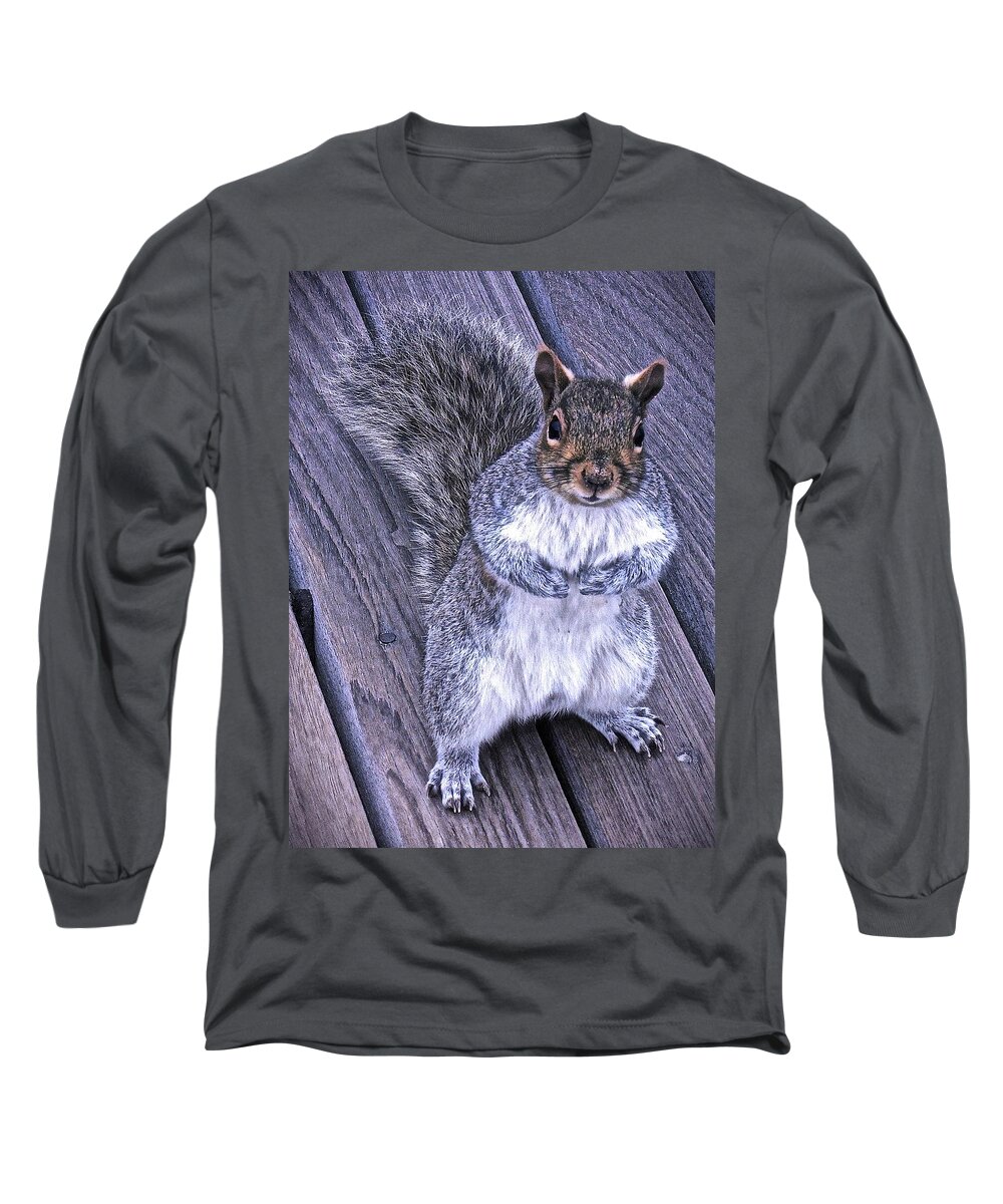 Gray Squirrel Long Sleeve T-Shirt featuring the photograph Do You Think I'm Cute by Joan Reese
