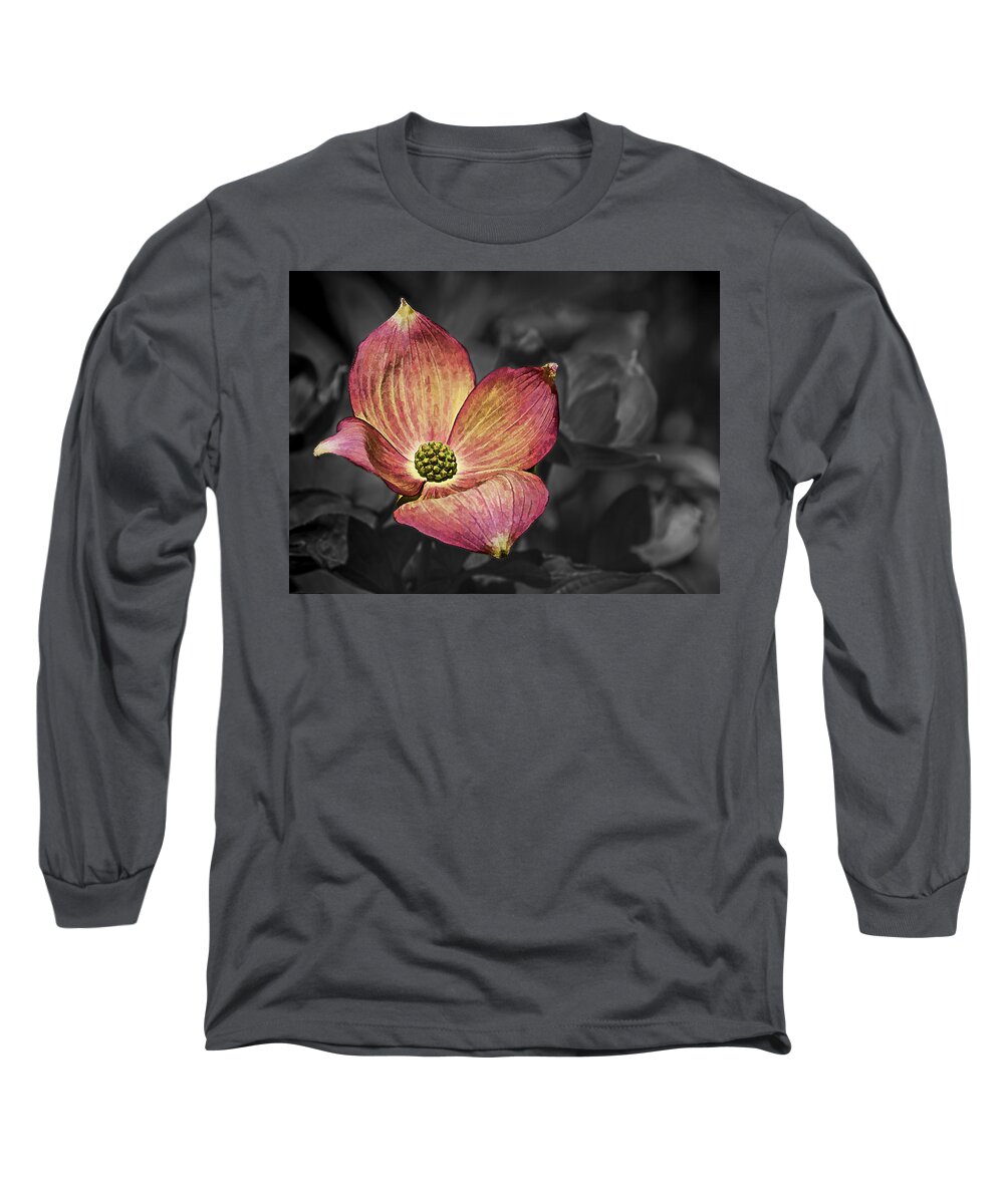 Ron Roberts Long Sleeve T-Shirt featuring the photograph Dogwood Bloom by Ron Roberts