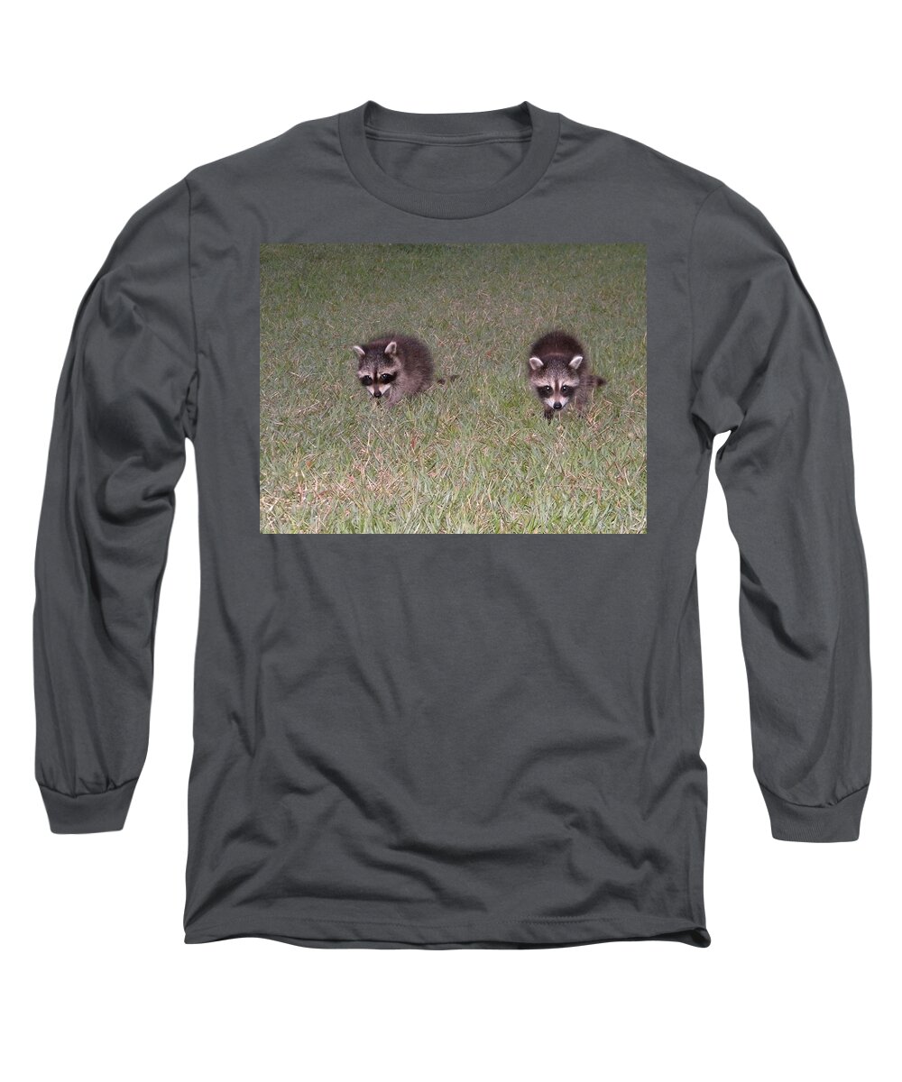 Baby Raccoons Long Sleeve T-Shirt featuring the digital art Double Trouble by Matthew Seufer