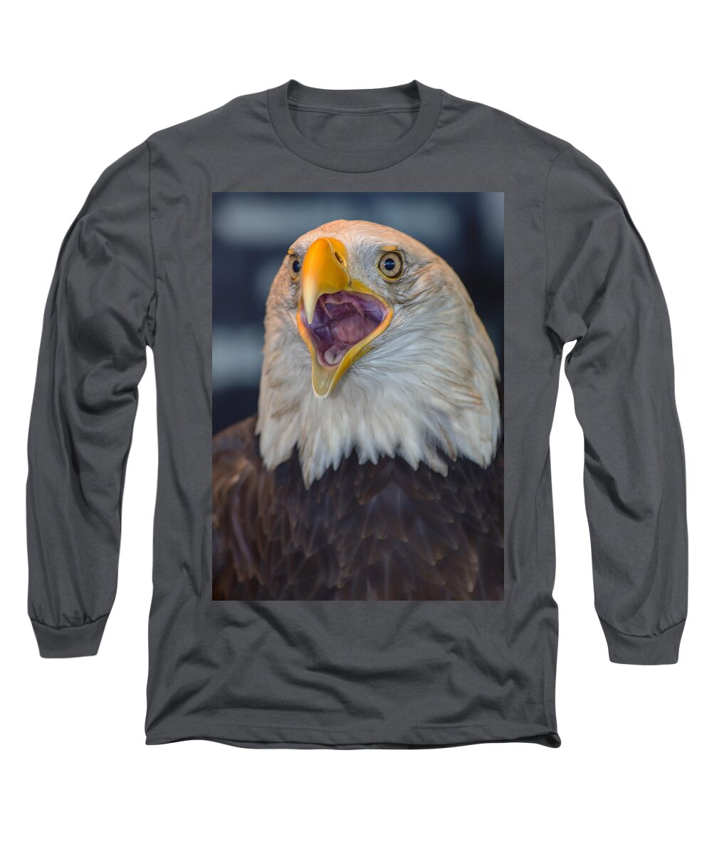 Eagle Long Sleeve T-Shirt featuring the photograph Down The Hatch by Bill and Linda Tiepelman