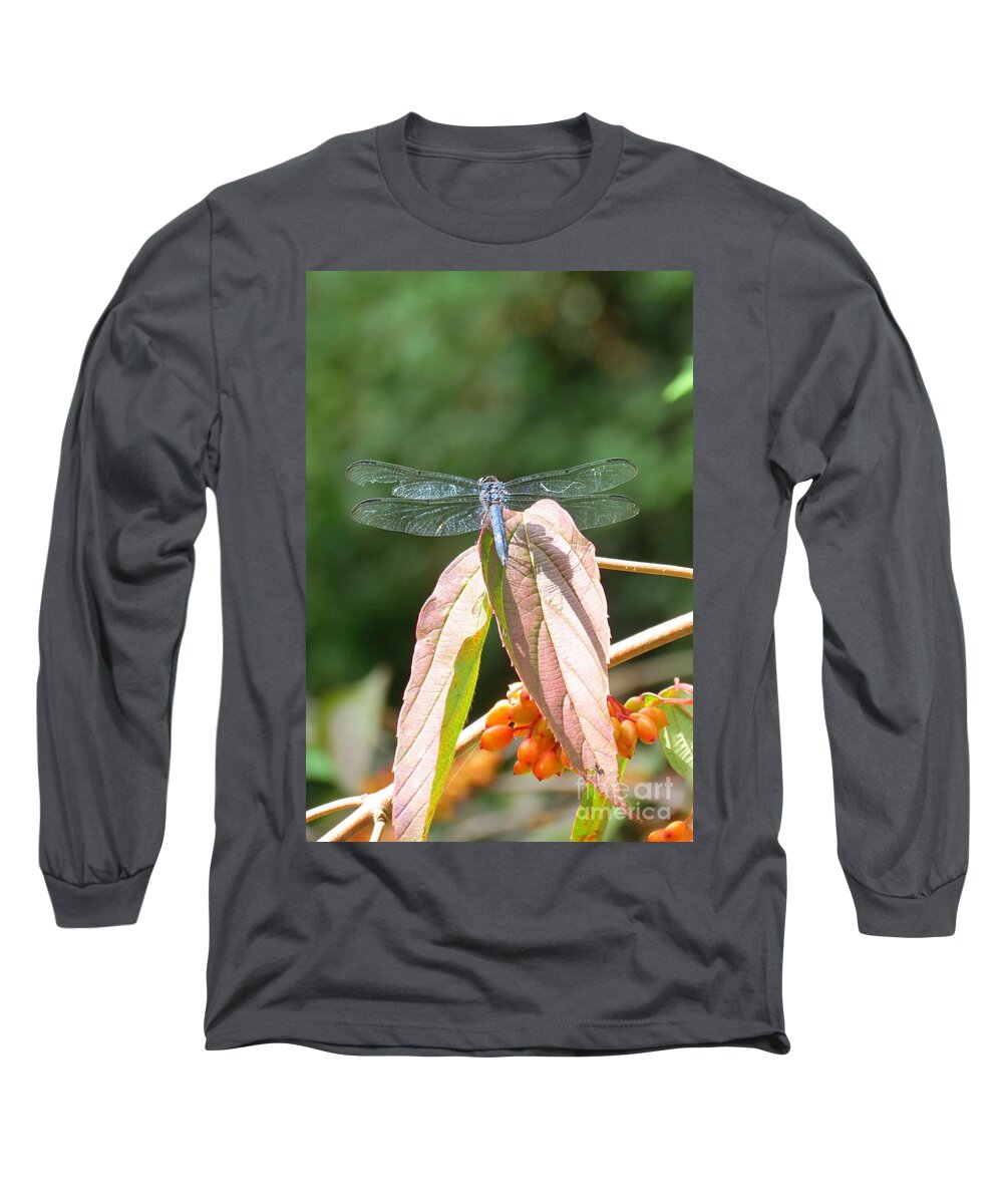 Dragonfly Long Sleeve T-Shirt featuring the photograph Dragonfly in Early Autumn by Anita Adams