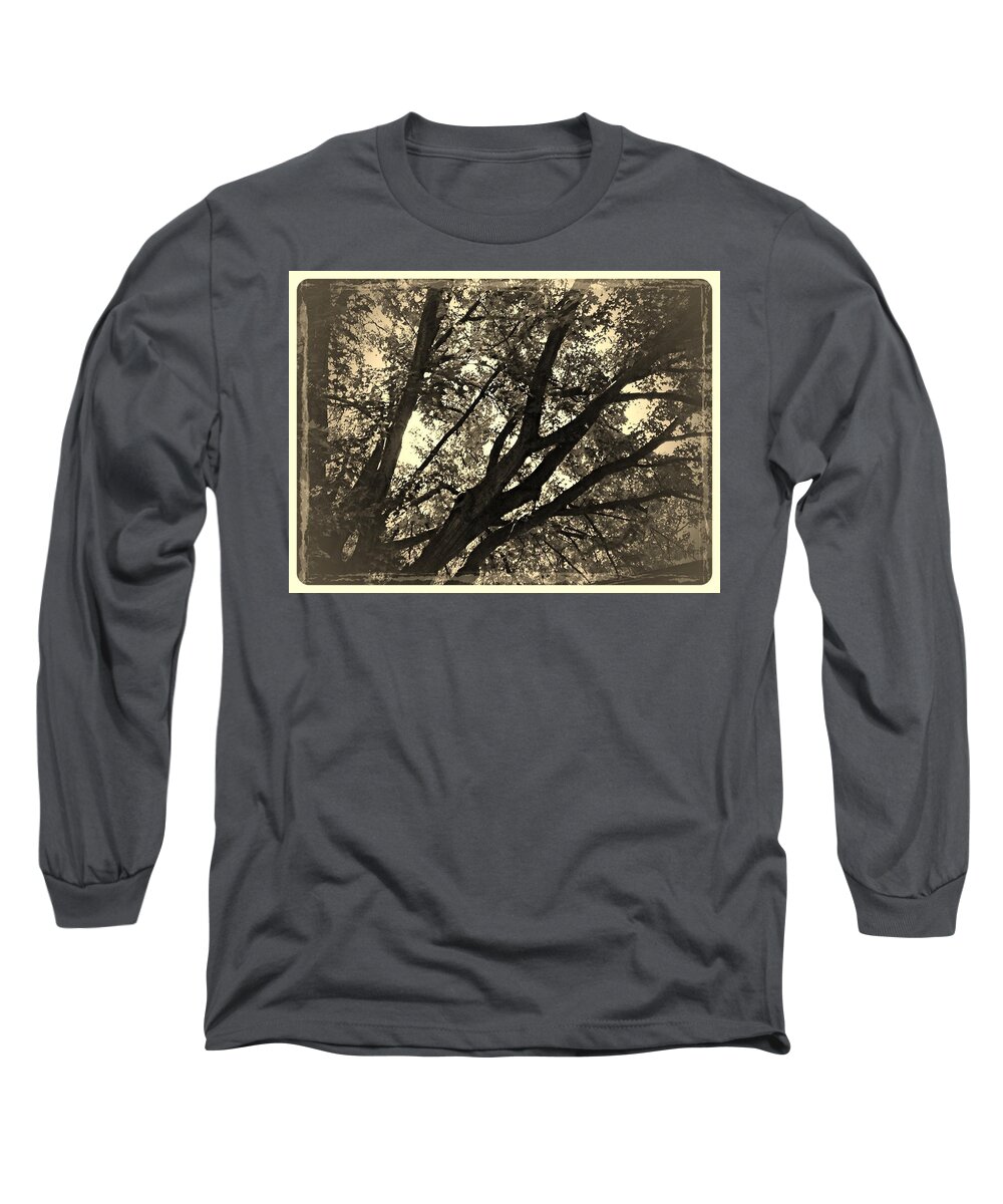 Trees Long Sleeve T-Shirt featuring the photograph Early Light by Frank J Casella