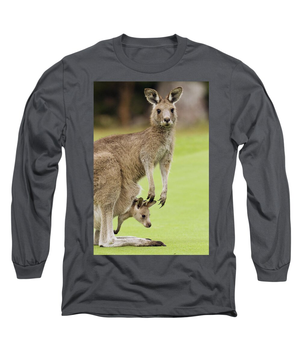 Sebastian Kennerknecht Long Sleeve T-Shirt featuring the photograph Eastern Grey Kangaroo With Joey by Sebastian Kennerknecht