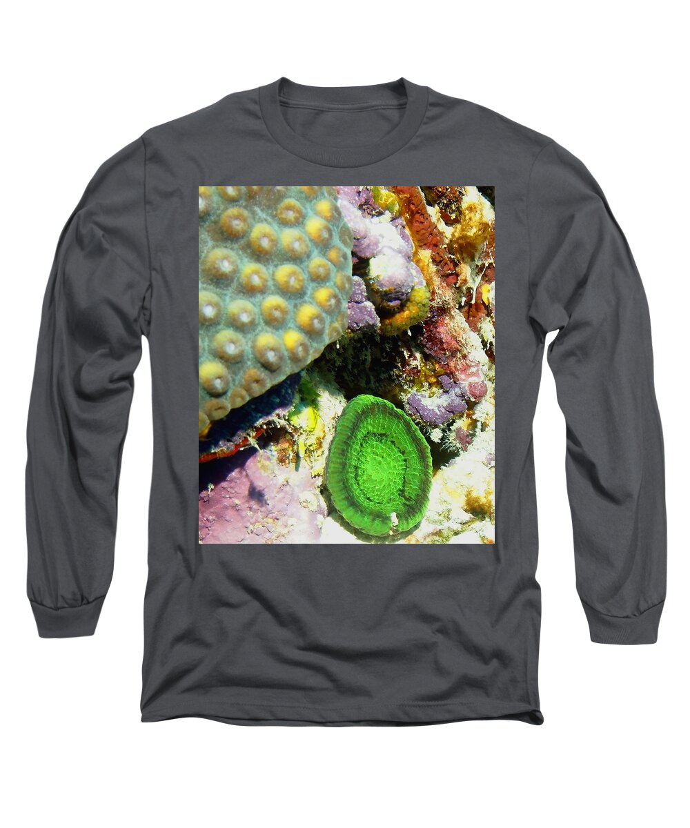 Nature Long Sleeve T-Shirt featuring the photograph Emerald Artichoke Coral by Amy McDaniel