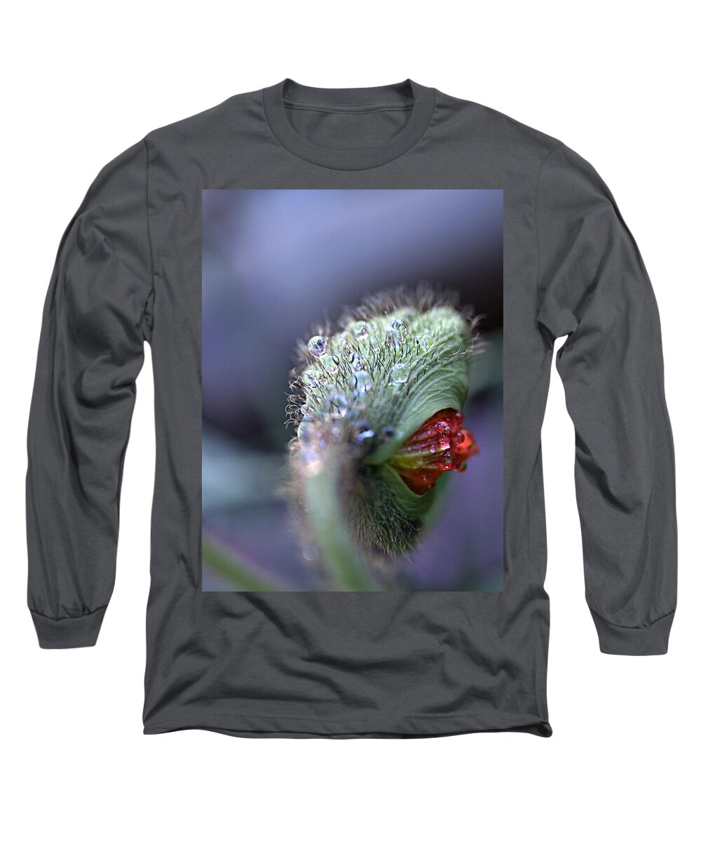 Iceland Poppy Long Sleeve T-Shirt featuring the photograph Emergence by Joe Schofield