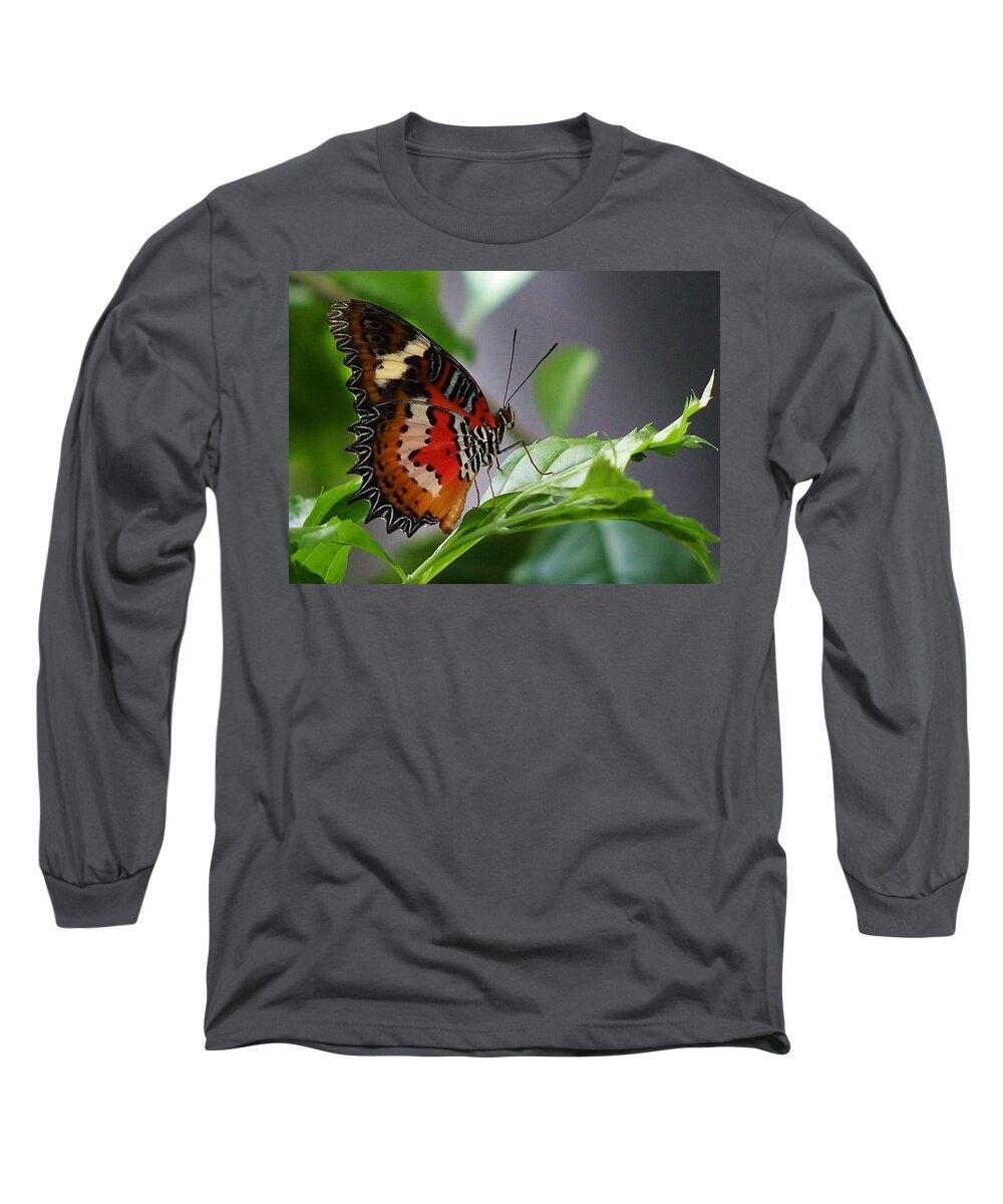 Insect Long Sleeve T-Shirt featuring the photograph Enchanted Butterfly by Bruce Bley