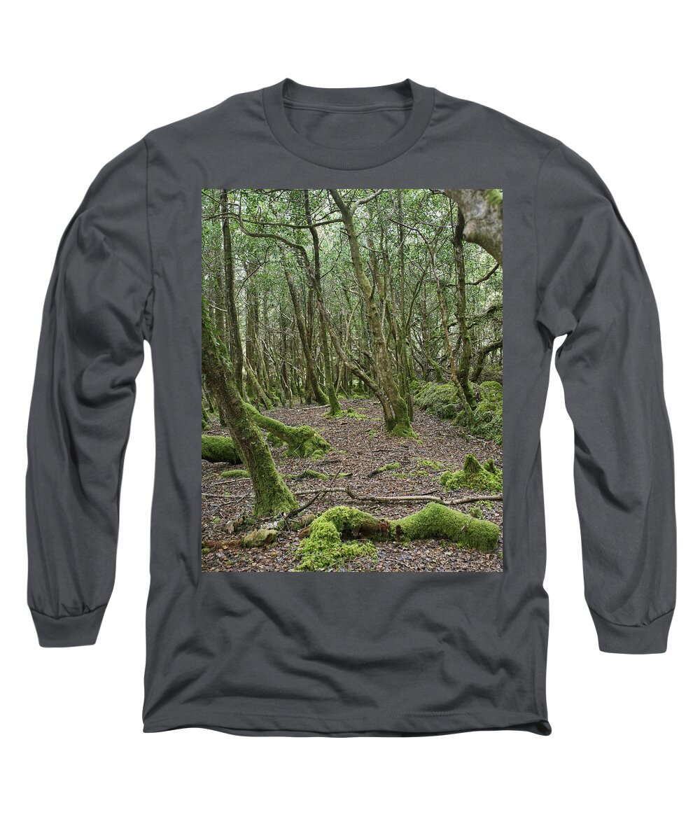 Forest Long Sleeve T-Shirt featuring the photograph Enchanted Forest by Hugh Smith