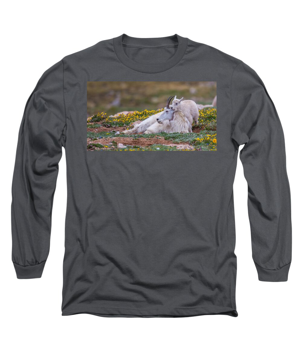 Goat Long Sleeve T-Shirt featuring the photograph Evans Treasure by Kevin Dietrich