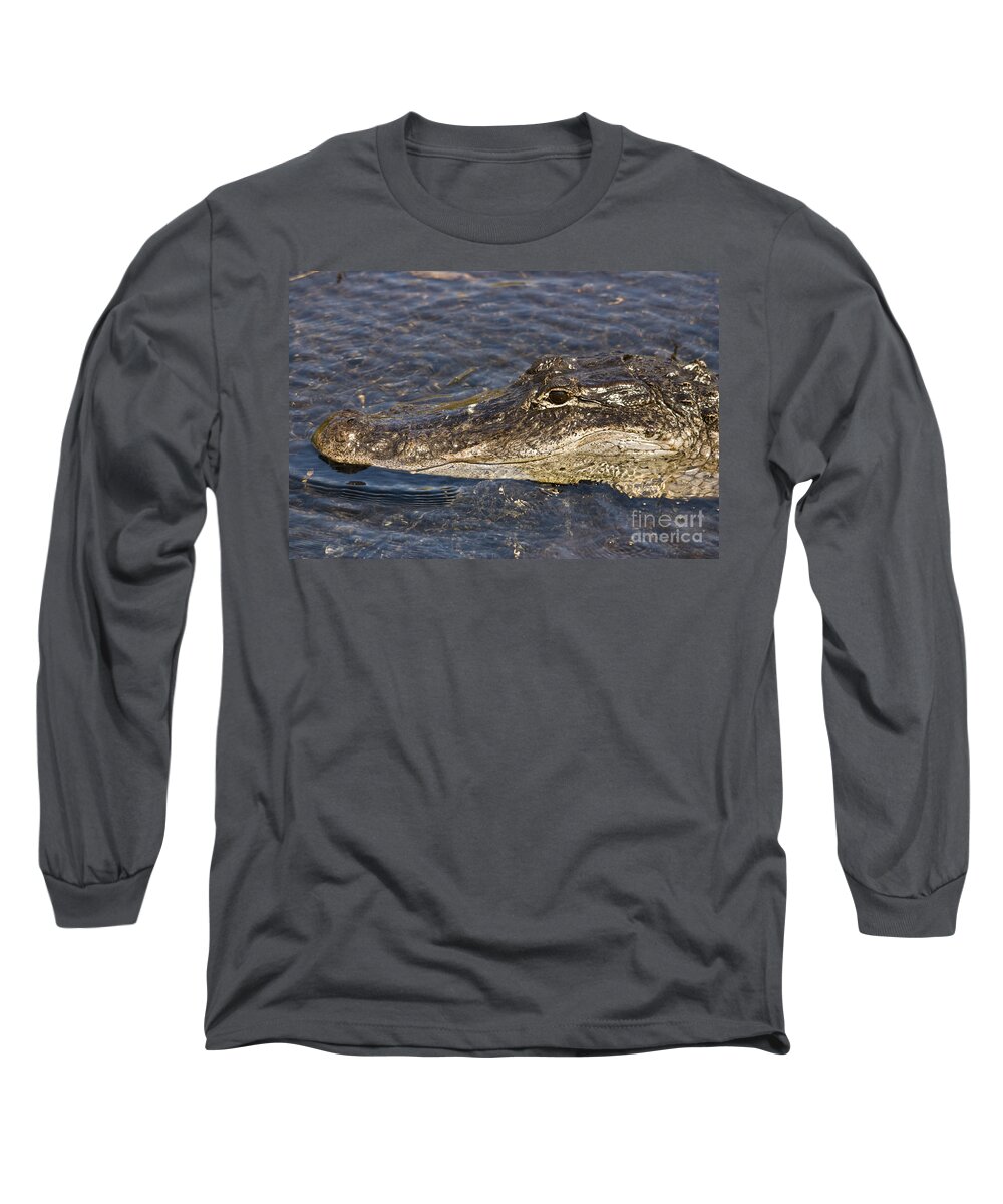 Everglades Long Sleeve T-Shirt featuring the photograph Everglades Gator by John Greco