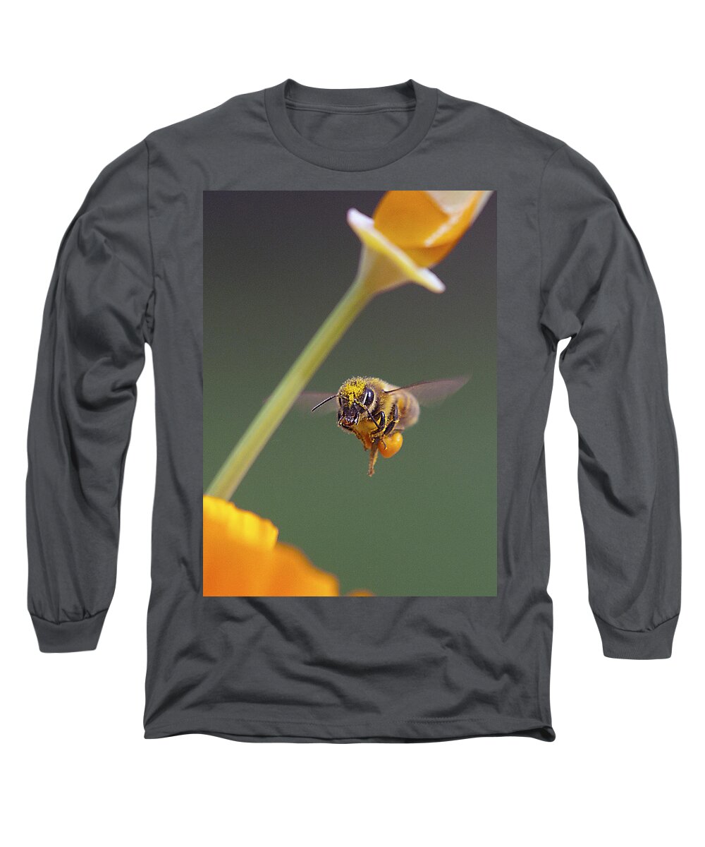 Bees Long Sleeve T-Shirt featuring the photograph Excuse Me by Joe Schofield