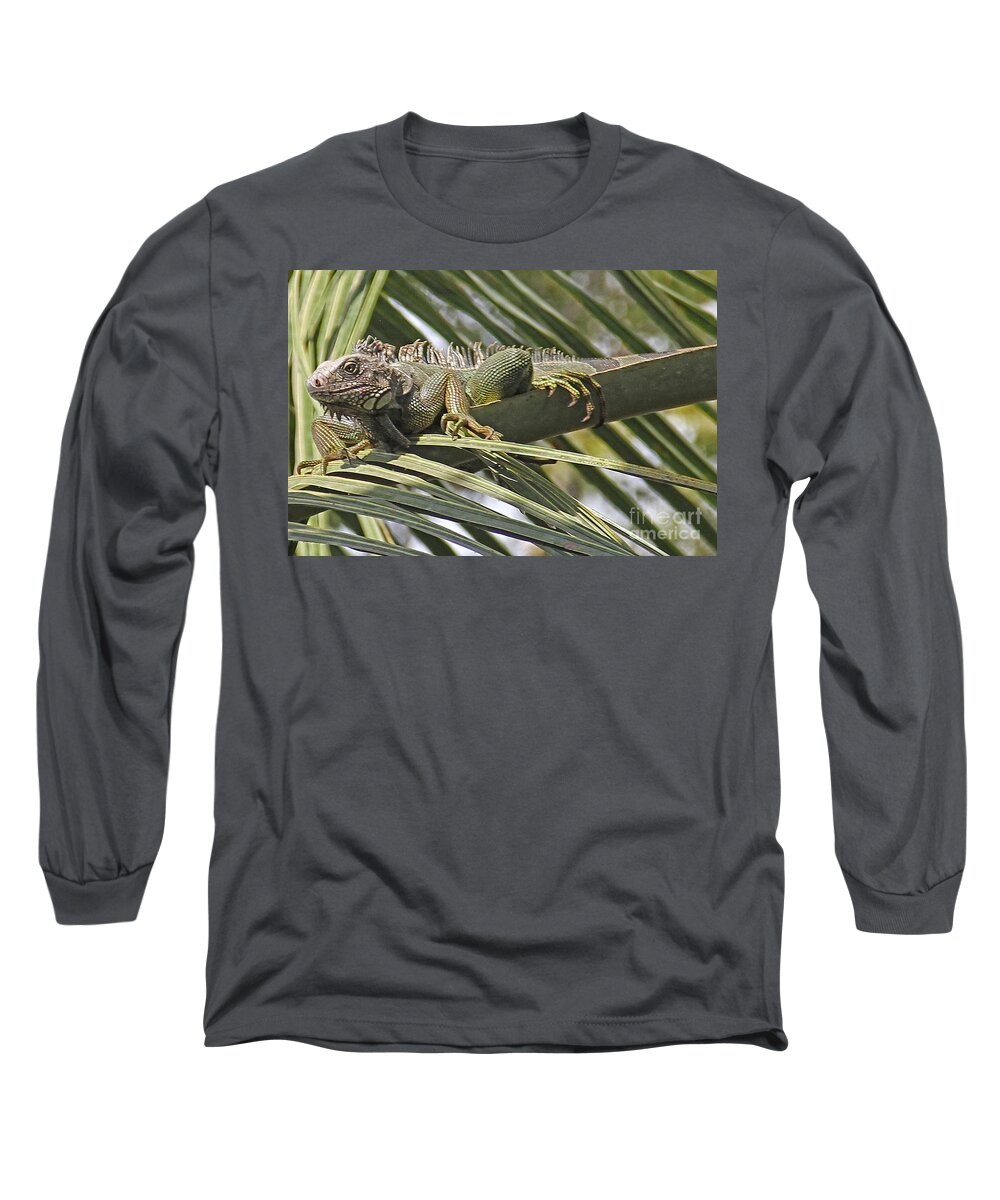 Costa Rica Long Sleeve T-Shirt featuring the photograph Eye of the Iguana by Bob Hislop