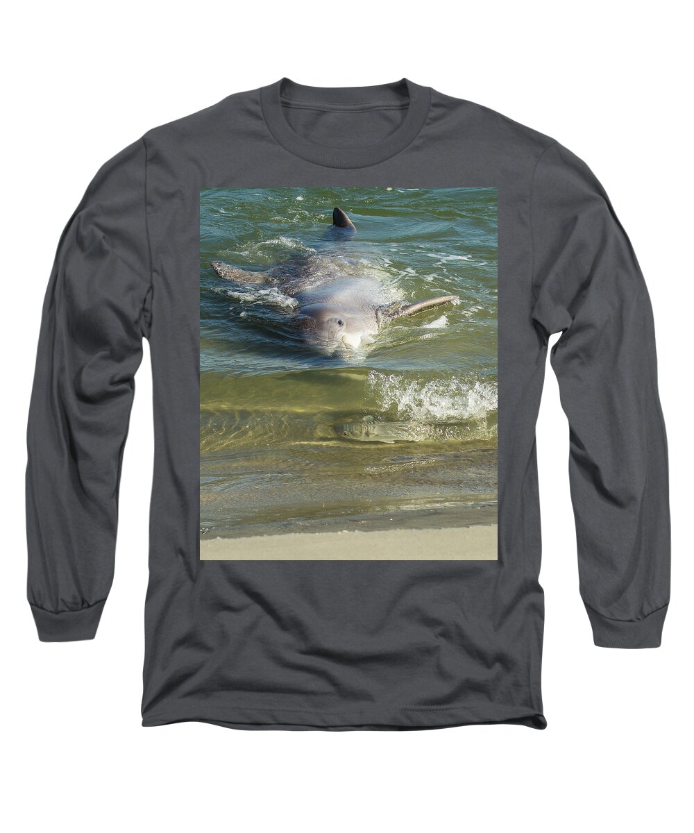 Dolphin Long Sleeve T-Shirt featuring the photograph Eye Spy by Patricia Schaefer