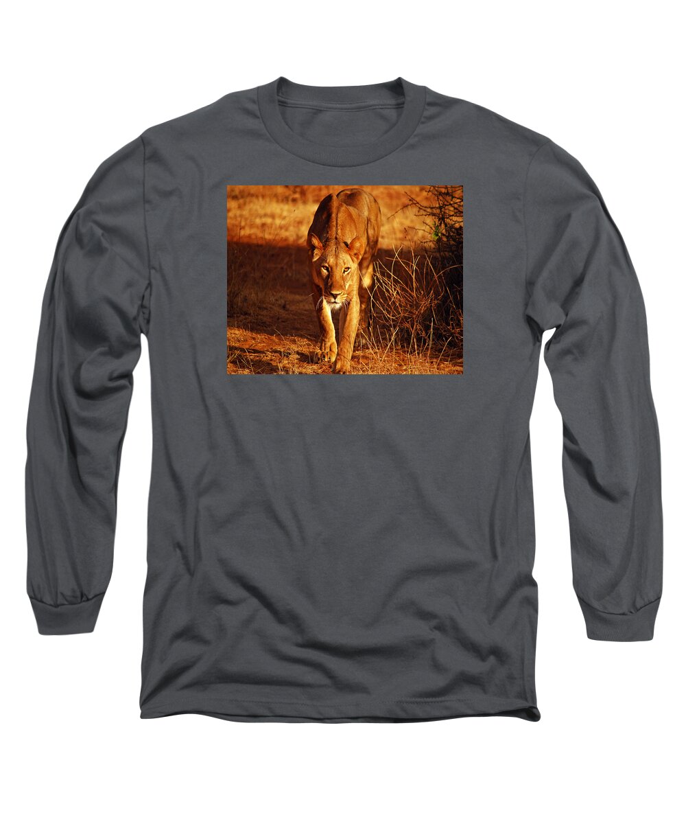 Wildlife Long Sleeve T-Shirt featuring the photograph Eyes Into the Soul by Pamela Peters