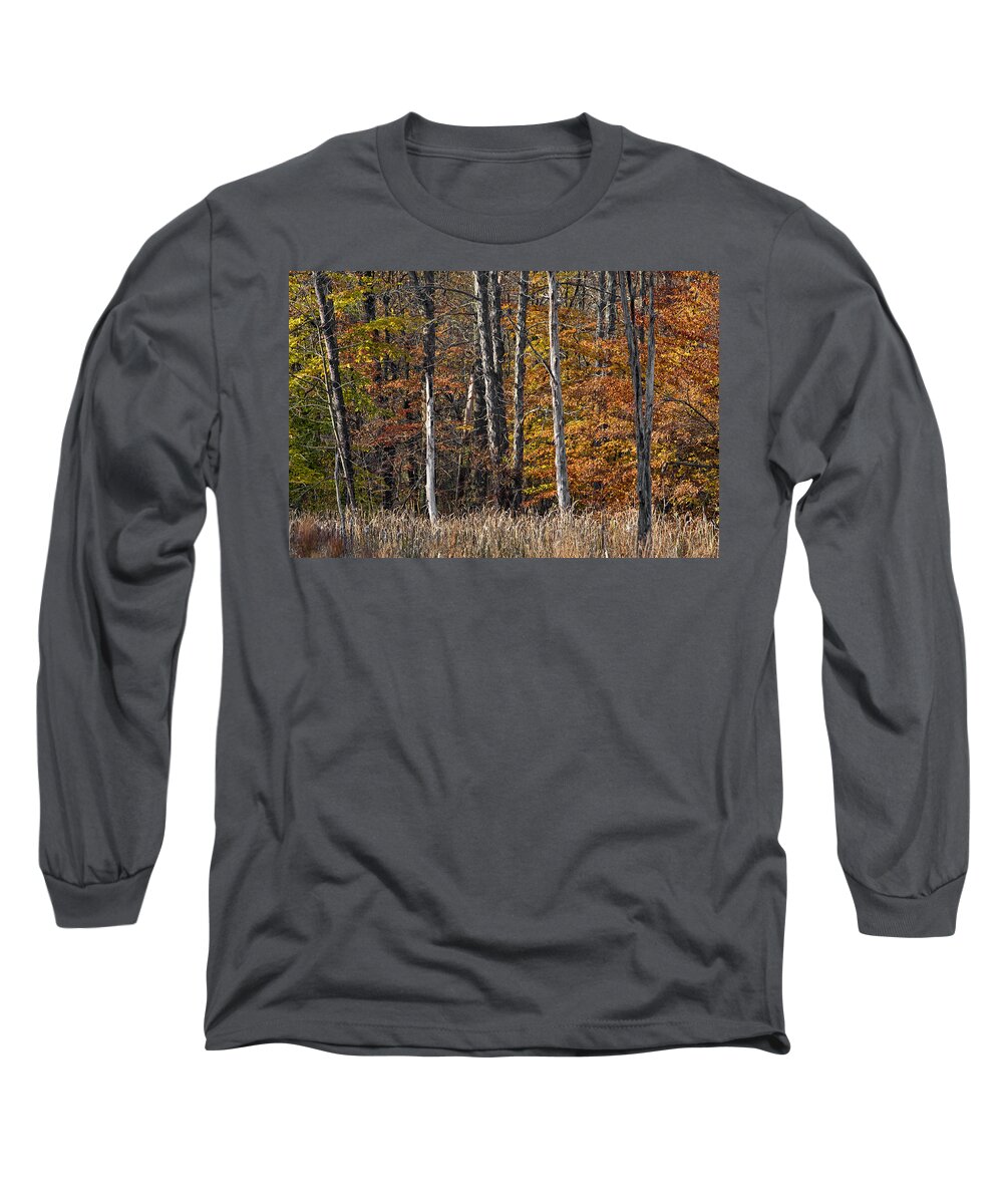 Fall Colors Long Sleeve T-Shirt featuring the photograph Fall Colors by Dale Kincaid