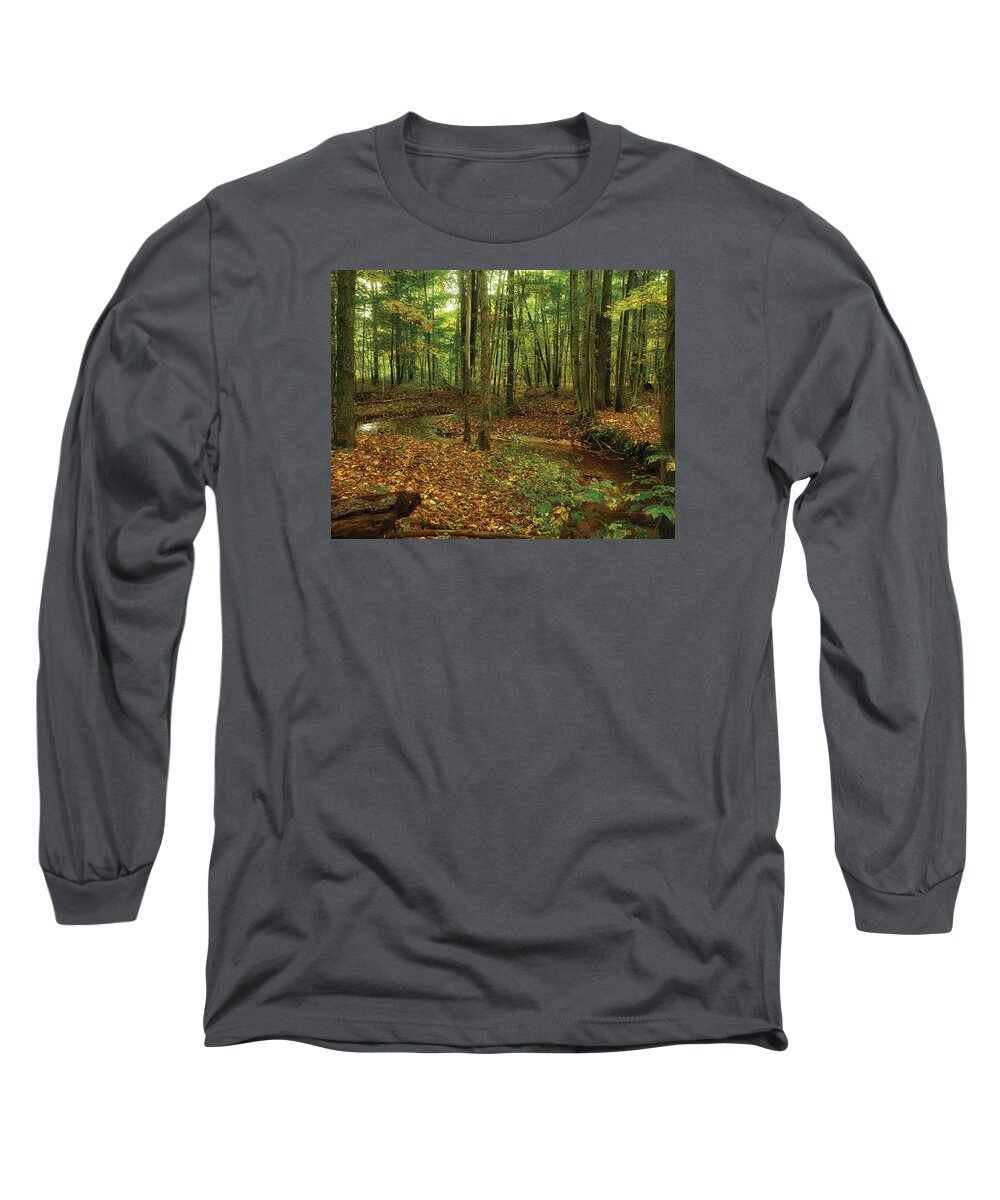 Creek Long Sleeve T-Shirt featuring the photograph Fall Creek by Gary O'Boyle