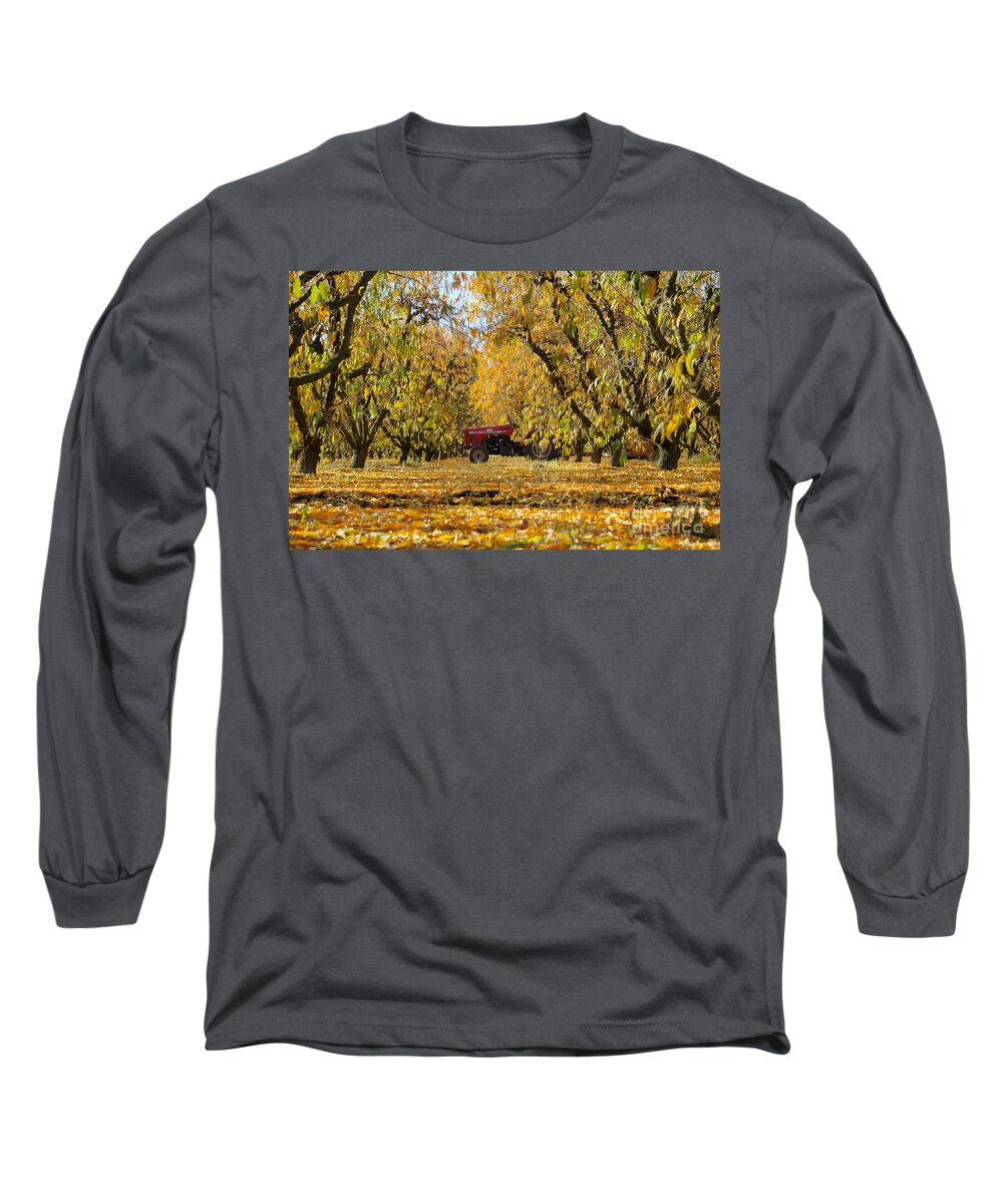 Fall Long Sleeve T-Shirt featuring the photograph Fall in the Peach Orchard by Jim And Emily Bush