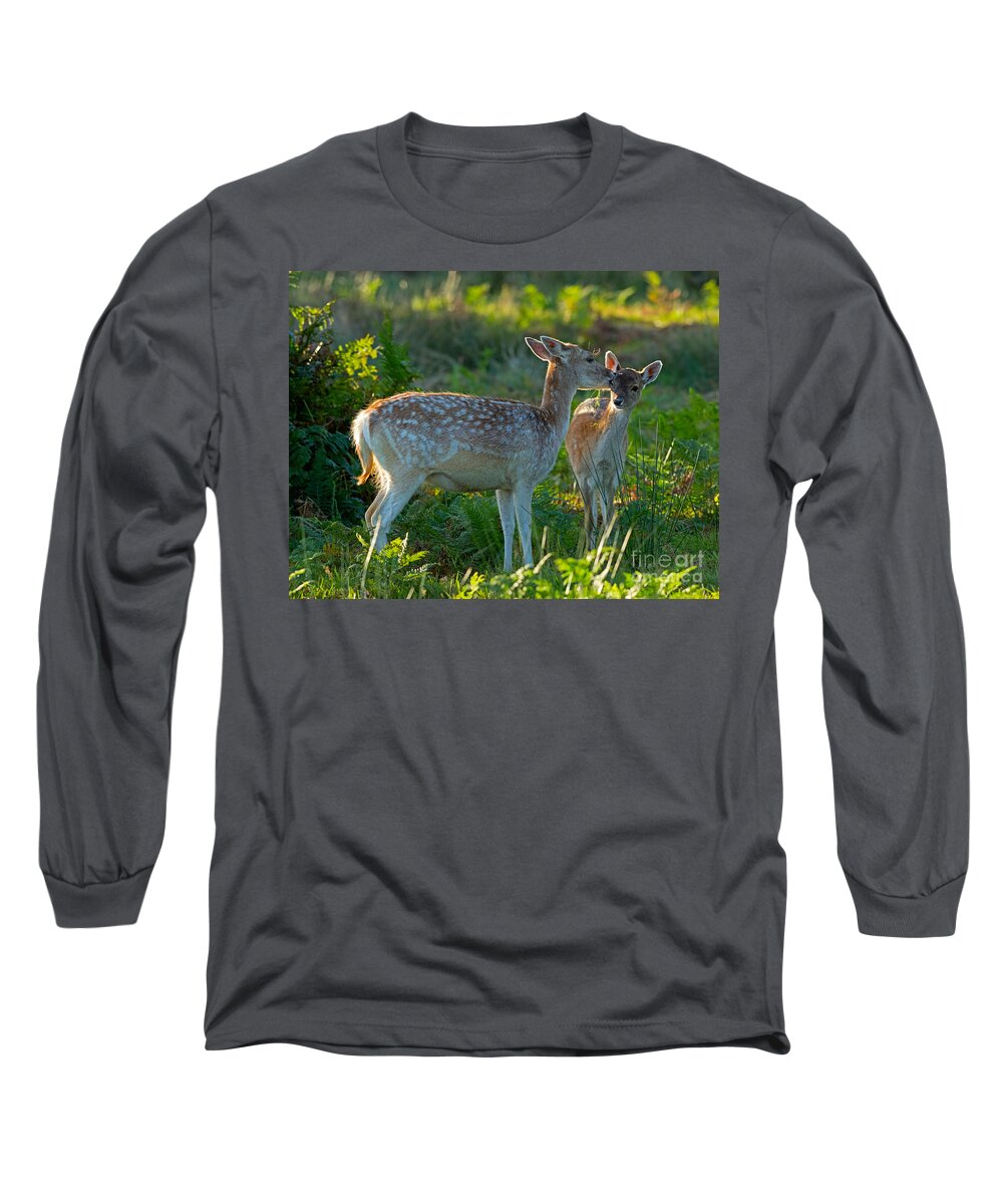 Fallow Long Sleeve T-Shirt featuring the photograph Fallow deer doe with fawn by Louise Heusinkveld