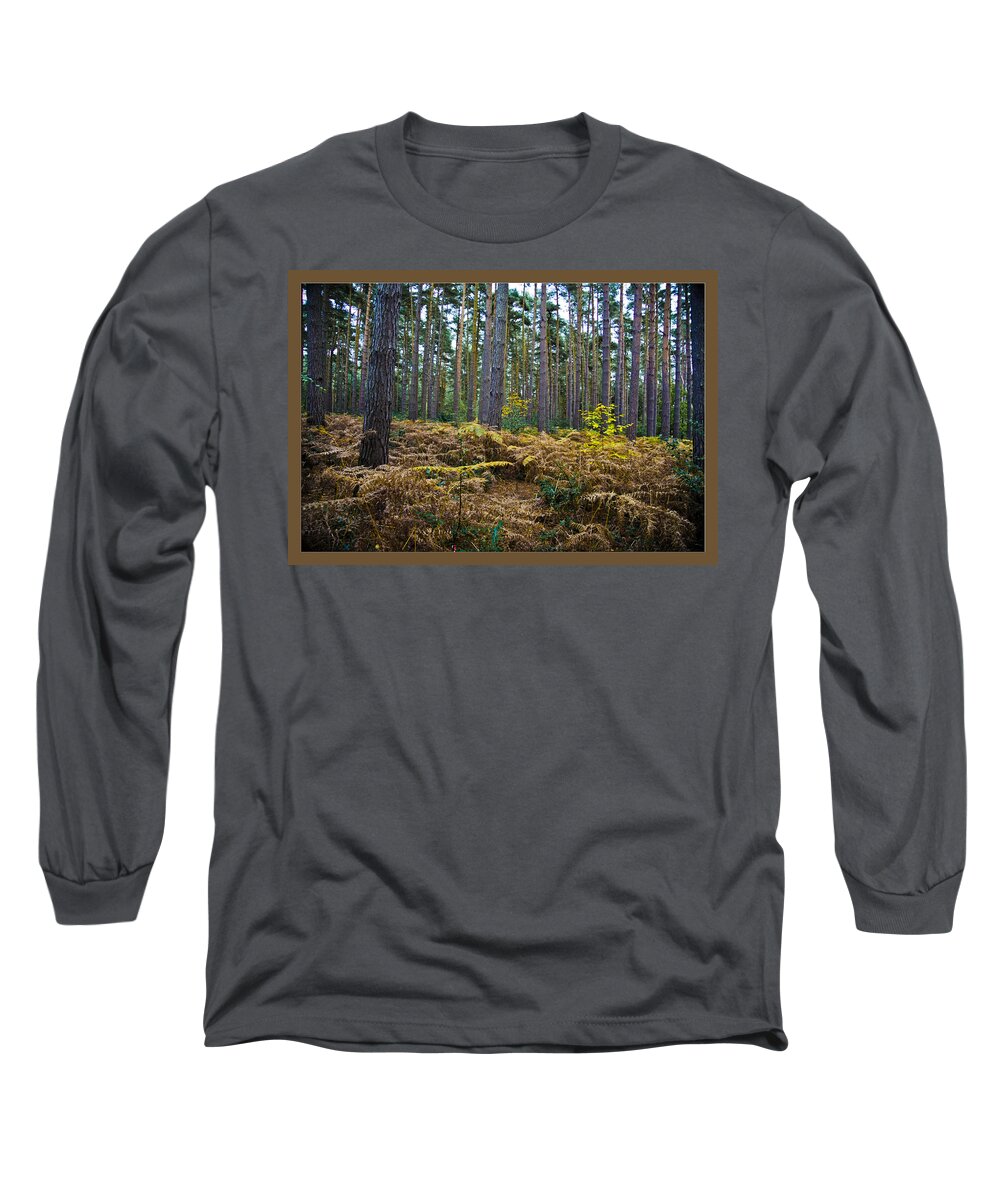 Forest Long Sleeve T-Shirt featuring the photograph Forest Trees by Maj Seda