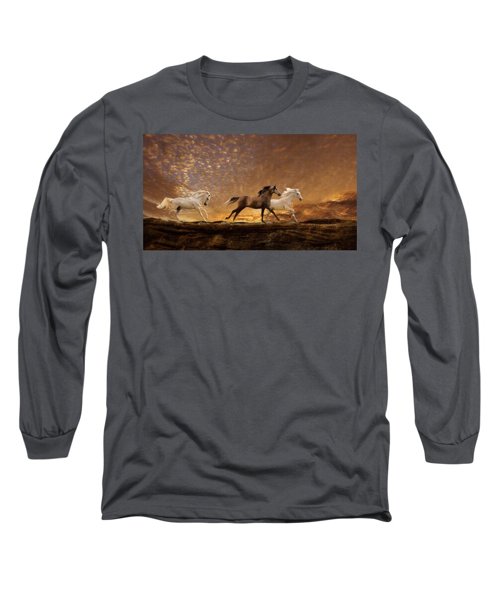 Equine Sunset Long Sleeve T-Shirt featuring the photograph Freed Spirits by Melinda Hughes-Berland